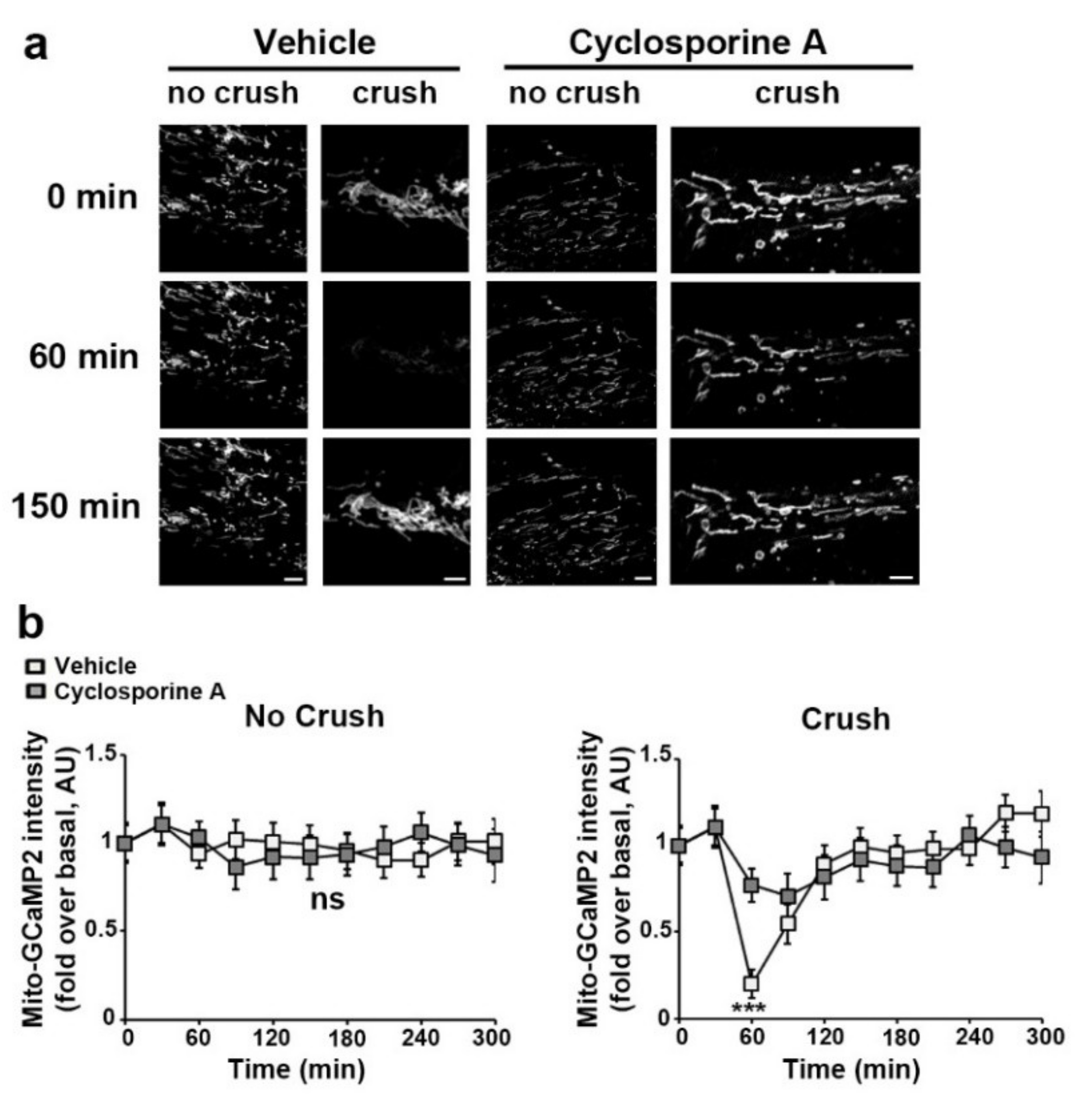 Biomedicines 10 01447 g005