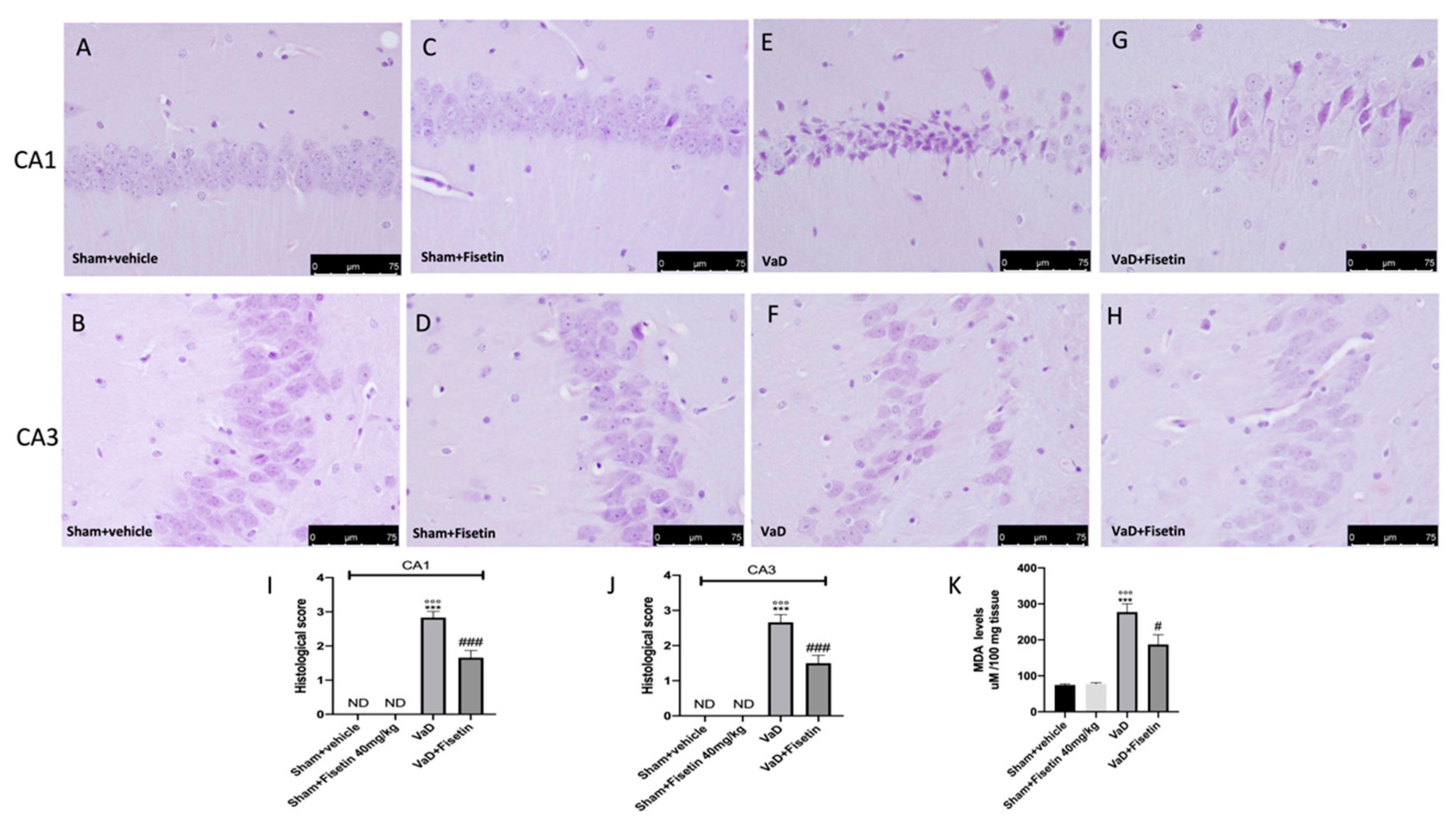 Biomedicines 10 01448 g003