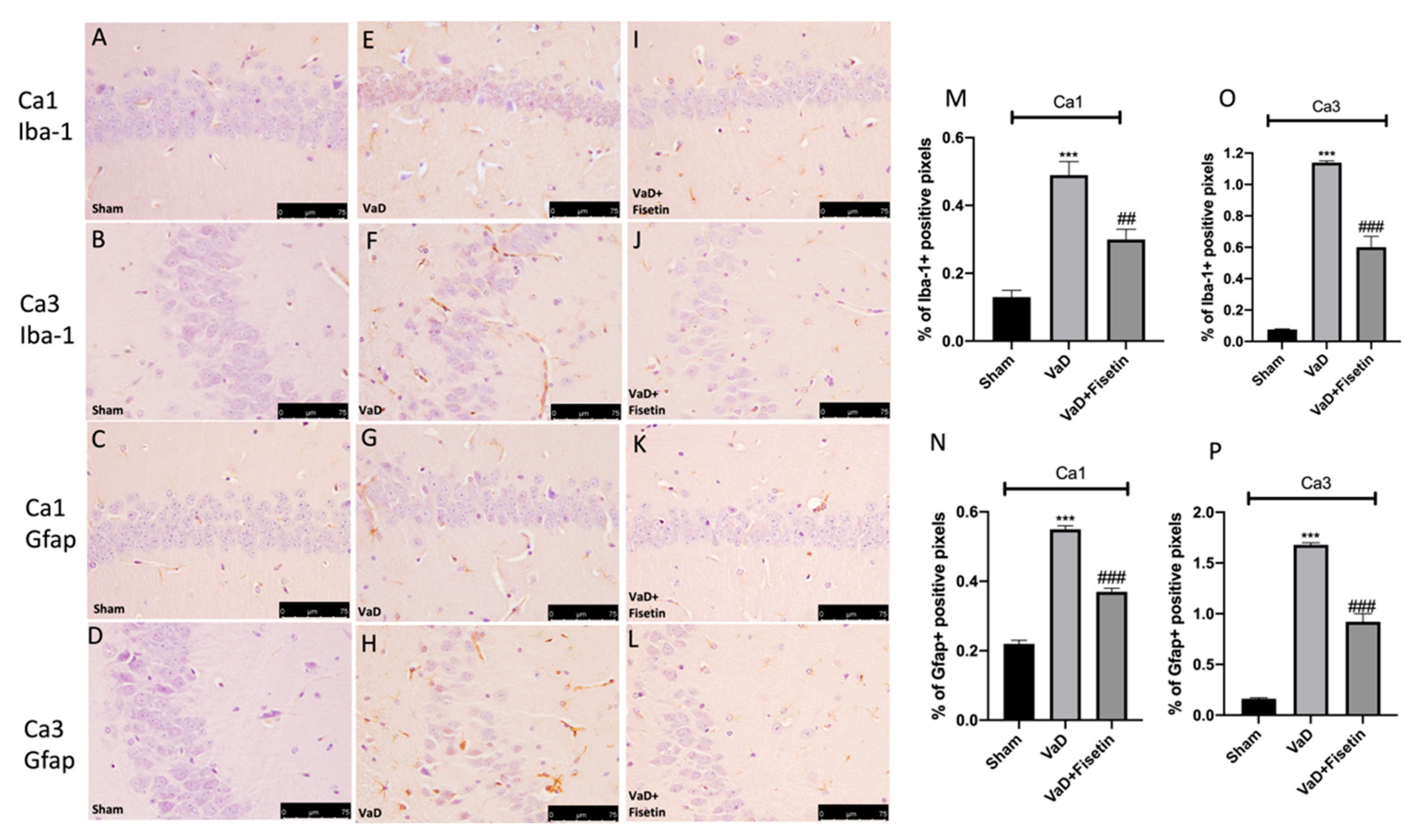 Biomedicines 10 01448 g004