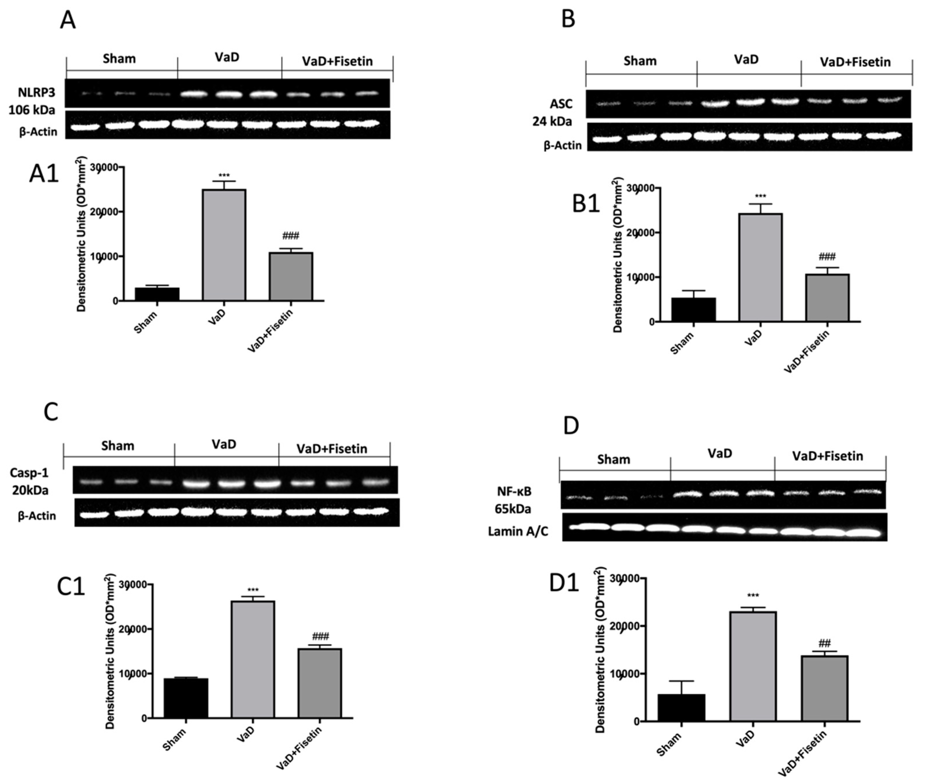 Biomedicines 10 01448 g007