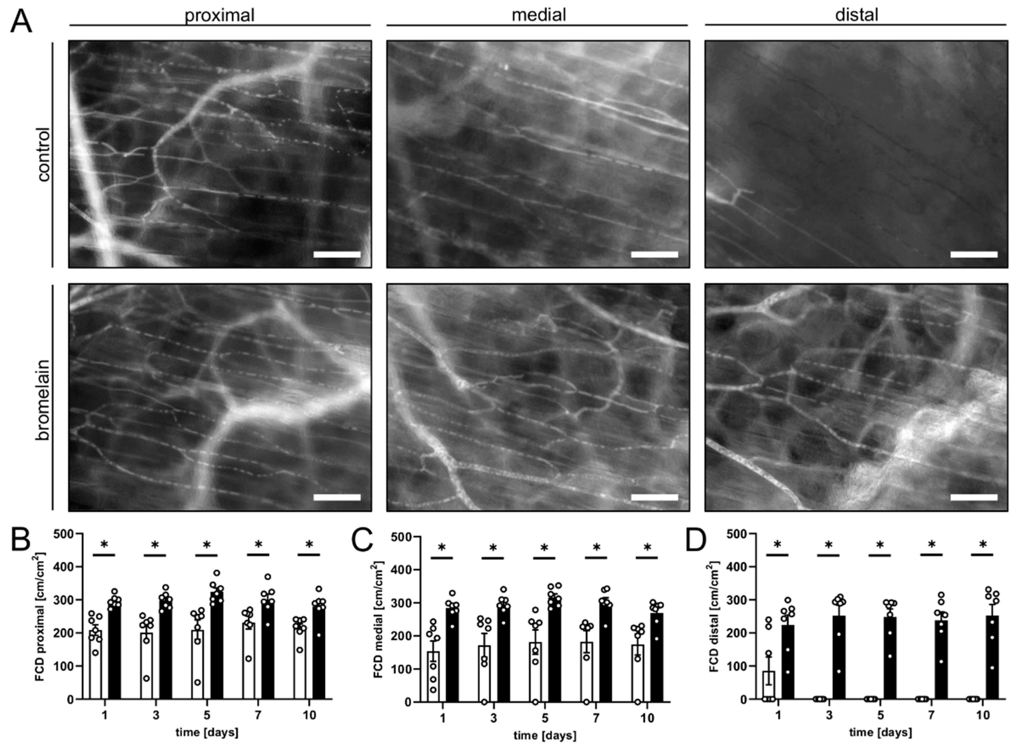 Biomedicines 10 01449 g002 Biomedicines 10 01449 g002