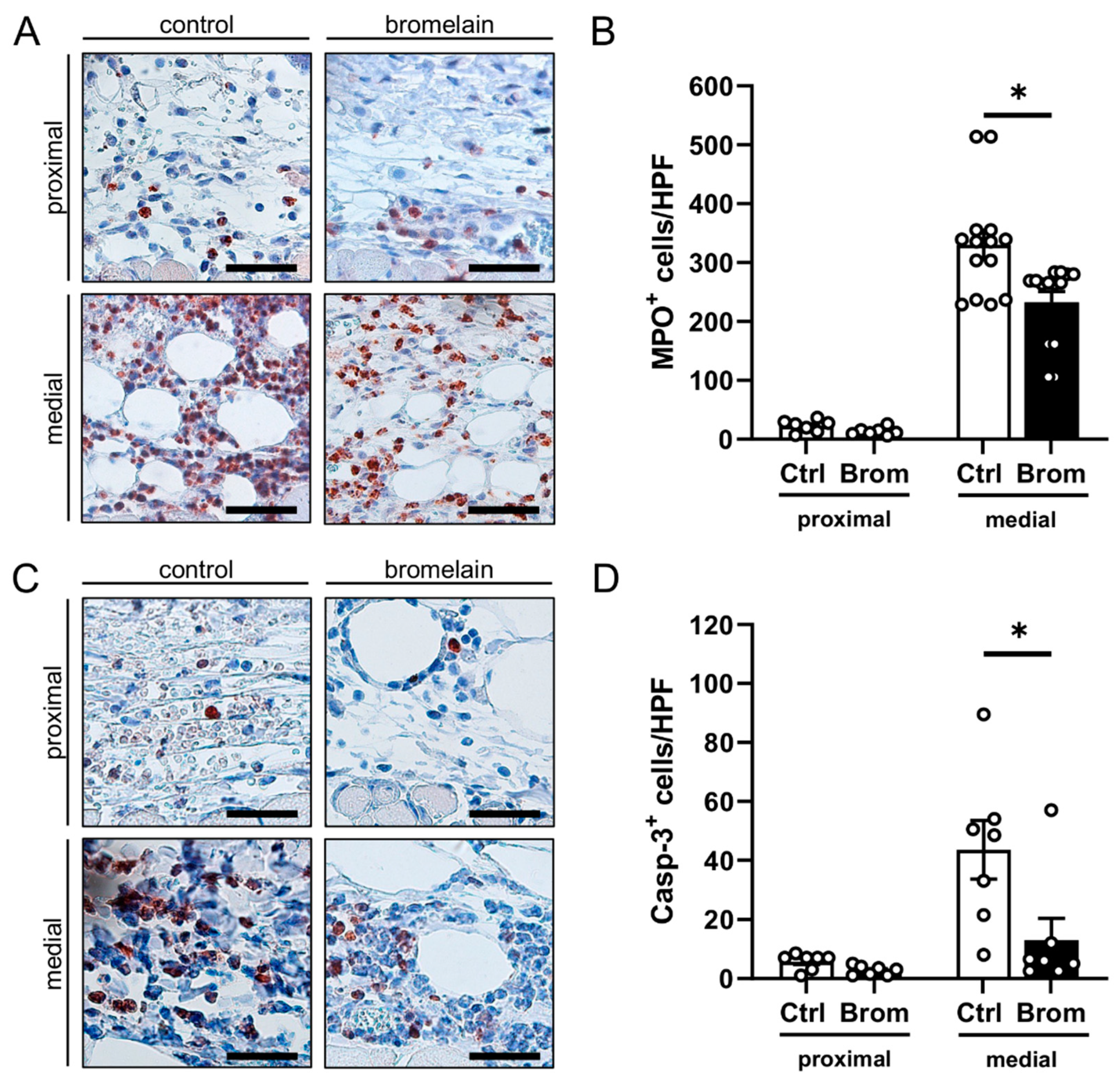 Biomedicines 10 01449 g004 Biomedicines 10 01449 g004