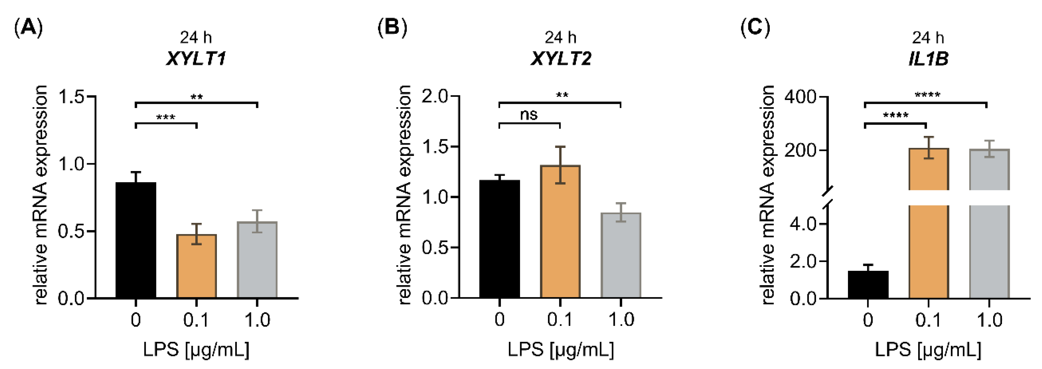 Biomedicines 10 01451 g001 Biomedicines 10 01451 g001