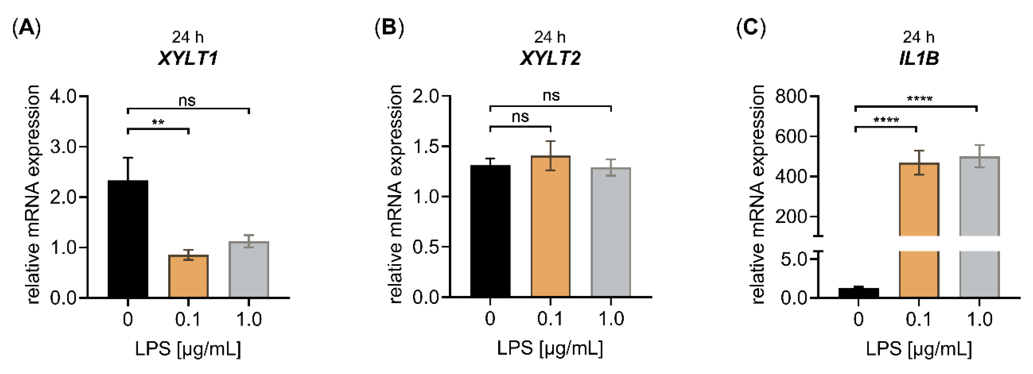 Biomedicines 10 01451 g002 Biomedicines 10 01451 g002