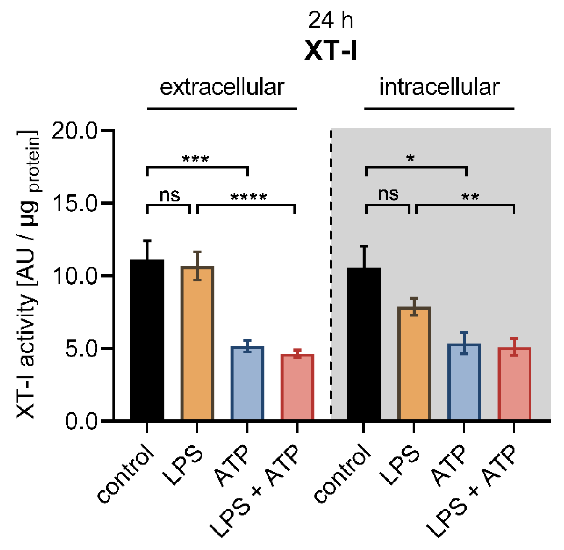 Biomedicines 10 01451 g004 Biomedicines 10 01451 g004