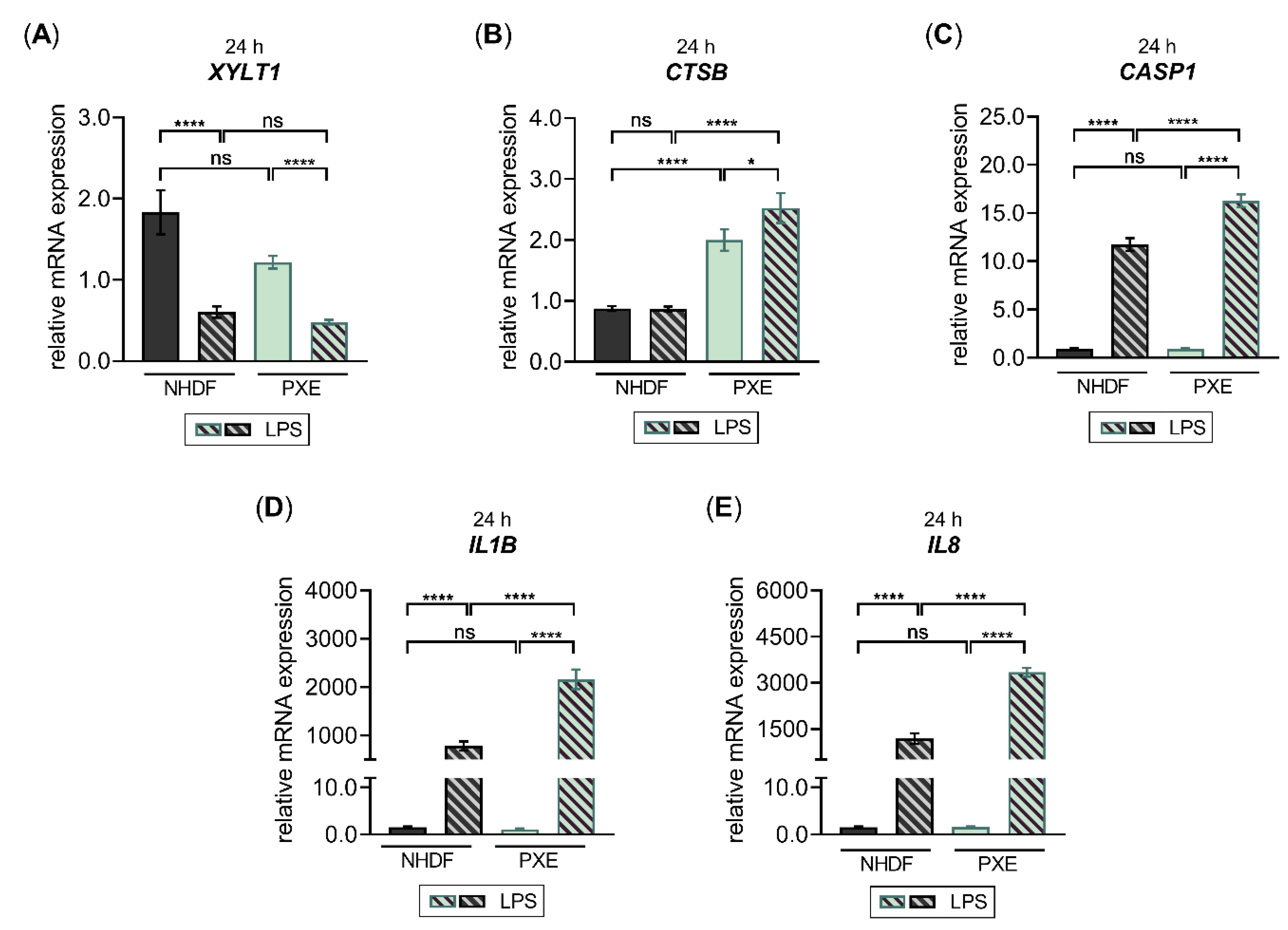 Biomedicines 10 01451 g008 Biomedicines 10 01451 g008