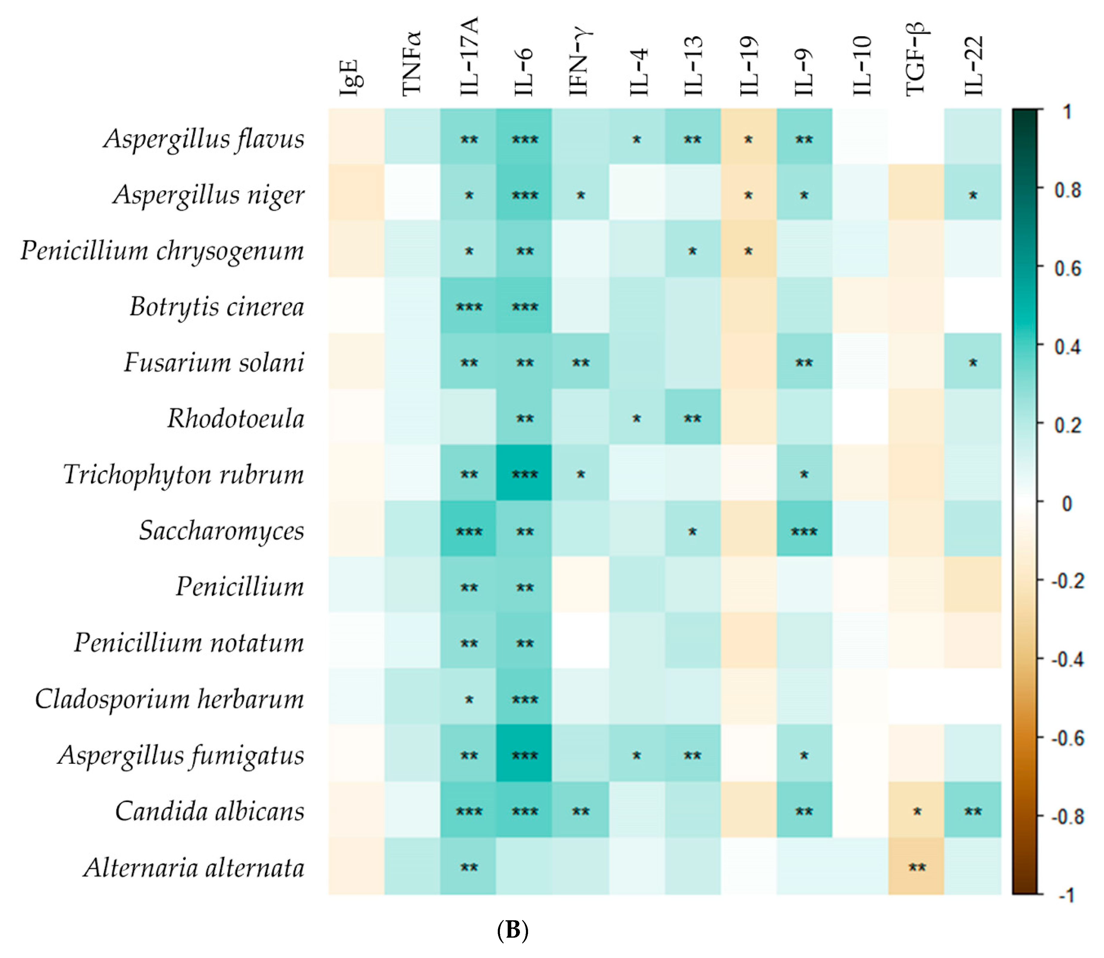 Biomedicines 10 01452 g001b Biomedicines 10 01452 g001b