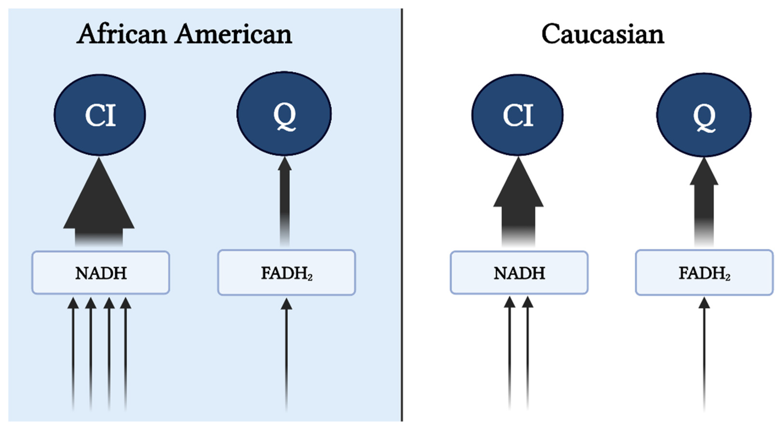 Biomedicines 10 01456 g001 Biomedicines 10 01456 g001