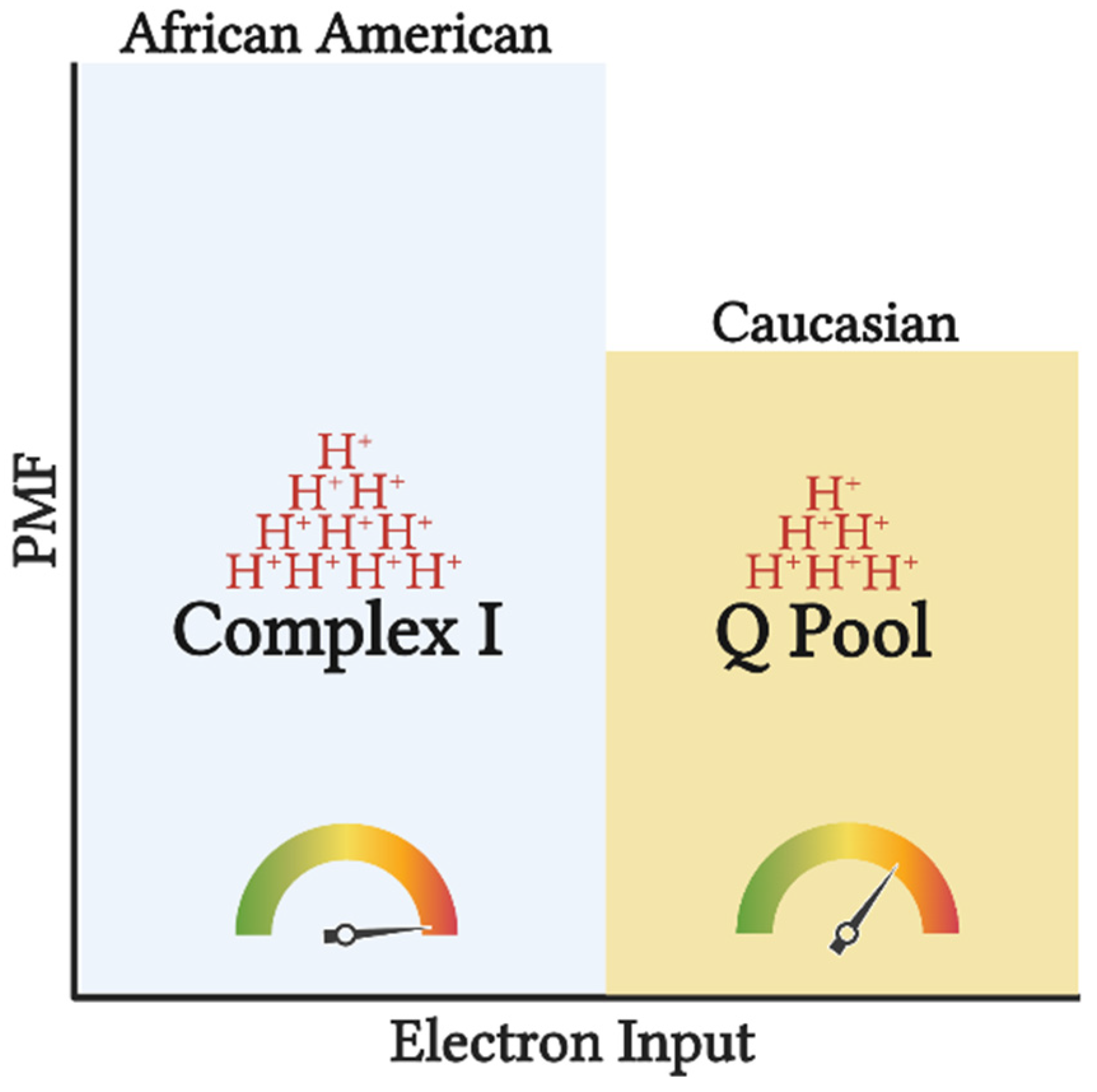 Biomedicines 10 01456 g002 Biomedicines 10 01456 g002