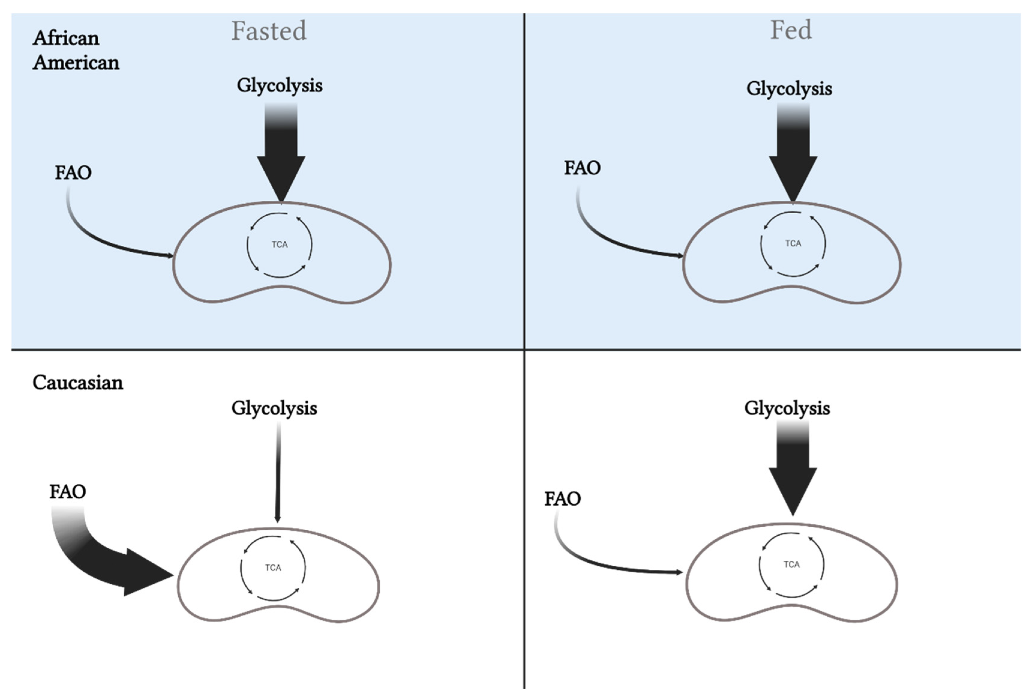 Biomedicines 10 01456 g003 Biomedicines 10 01456 g003