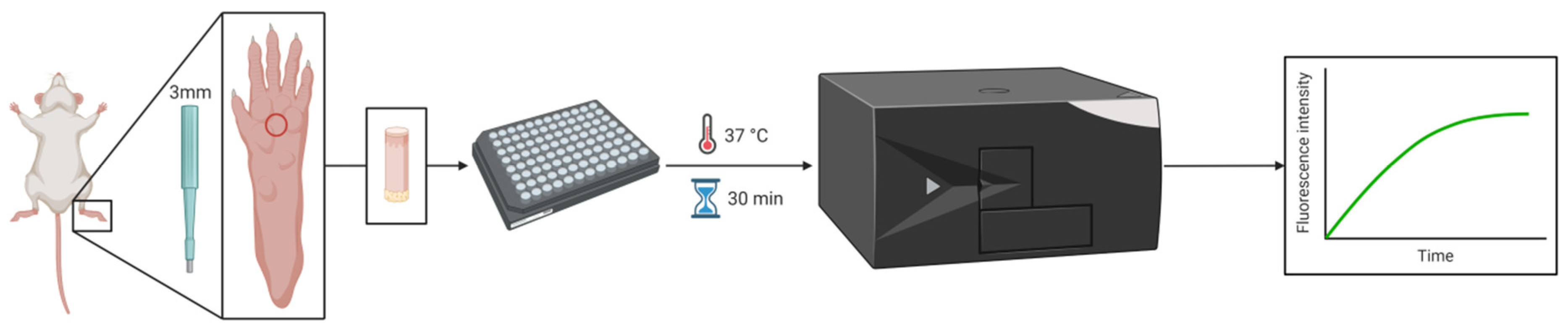 Biomedicines 10 01461 g001