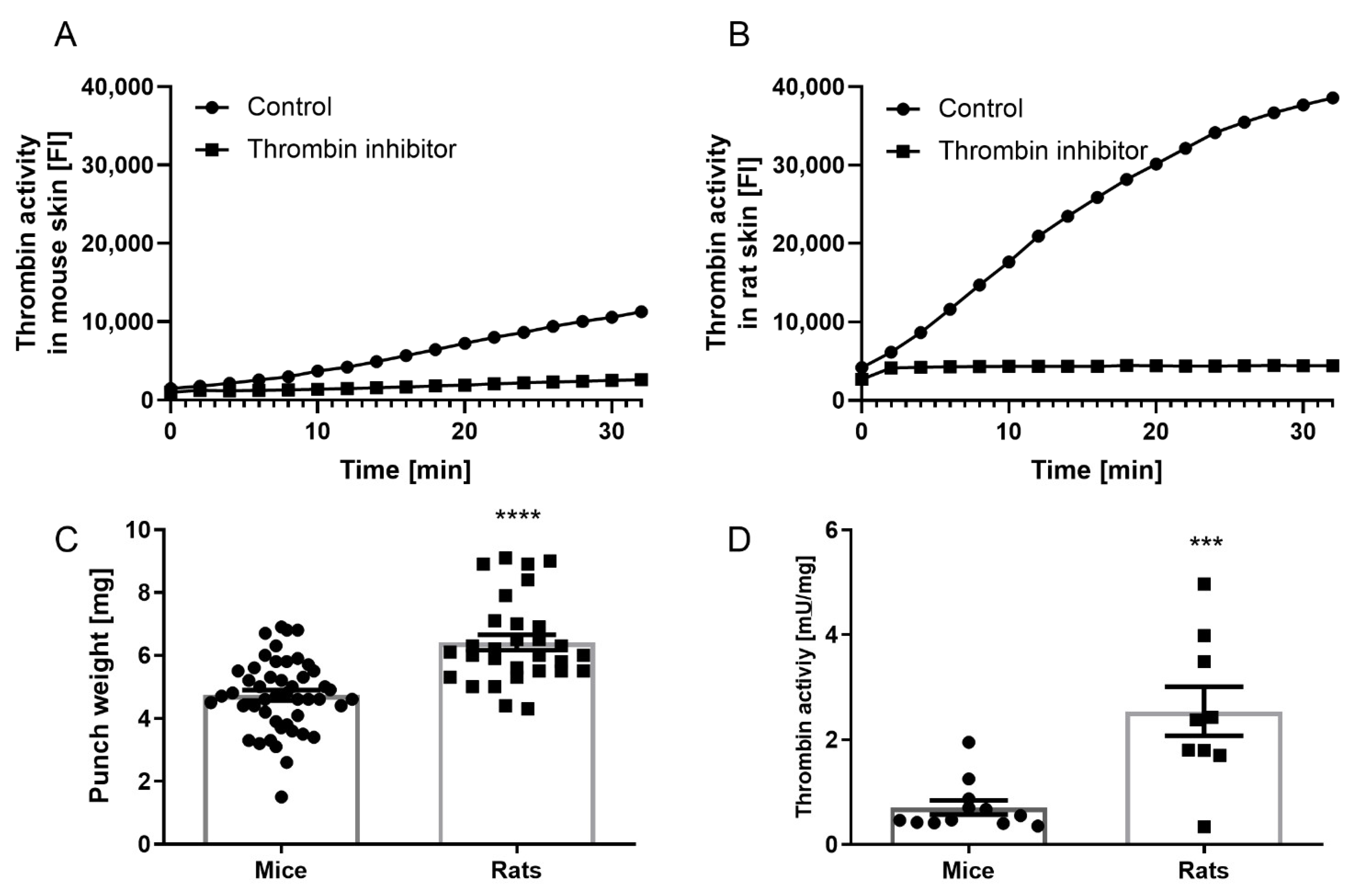 Biomedicines 10 01461 g002