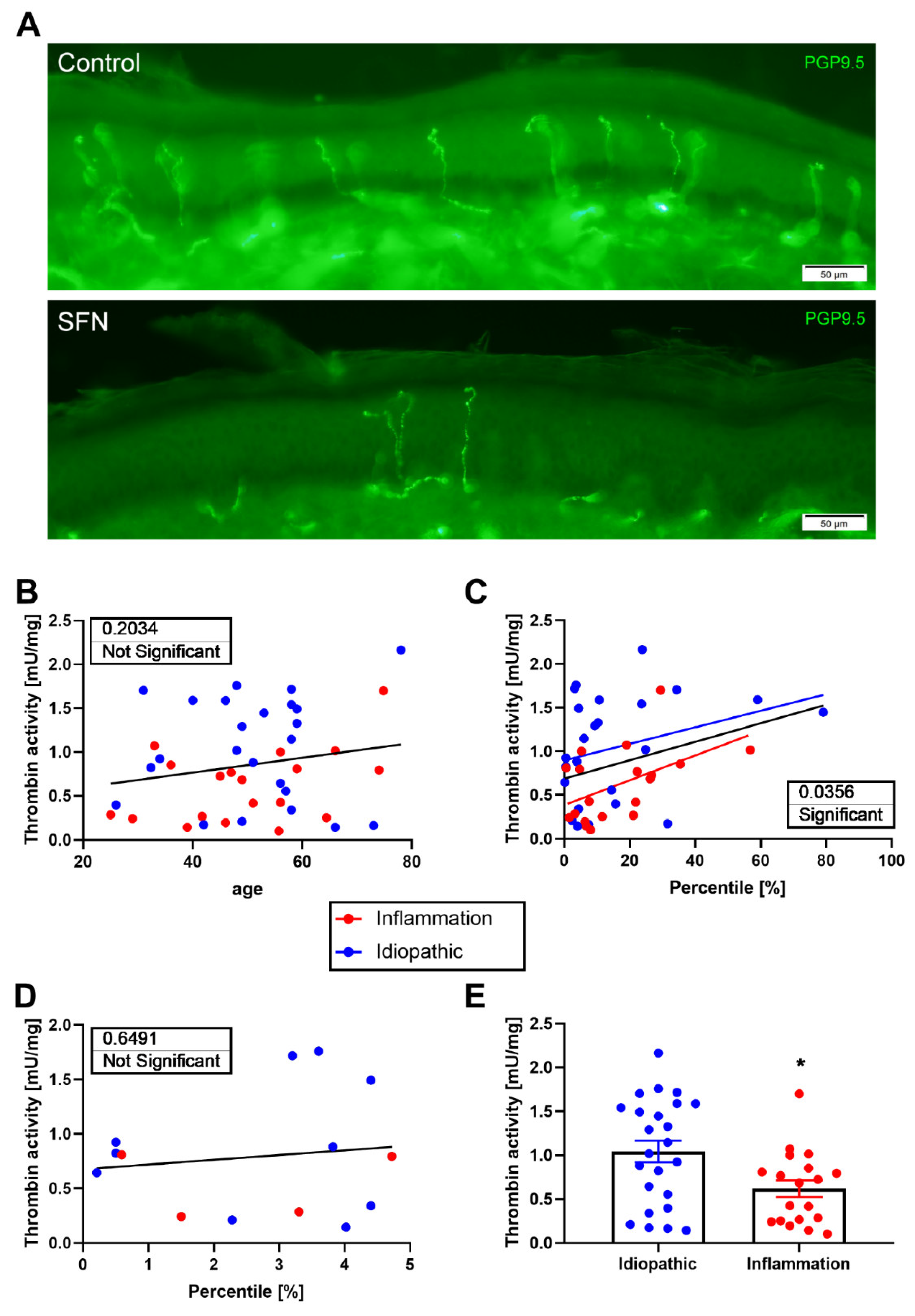 Biomedicines 10 01461 g006
