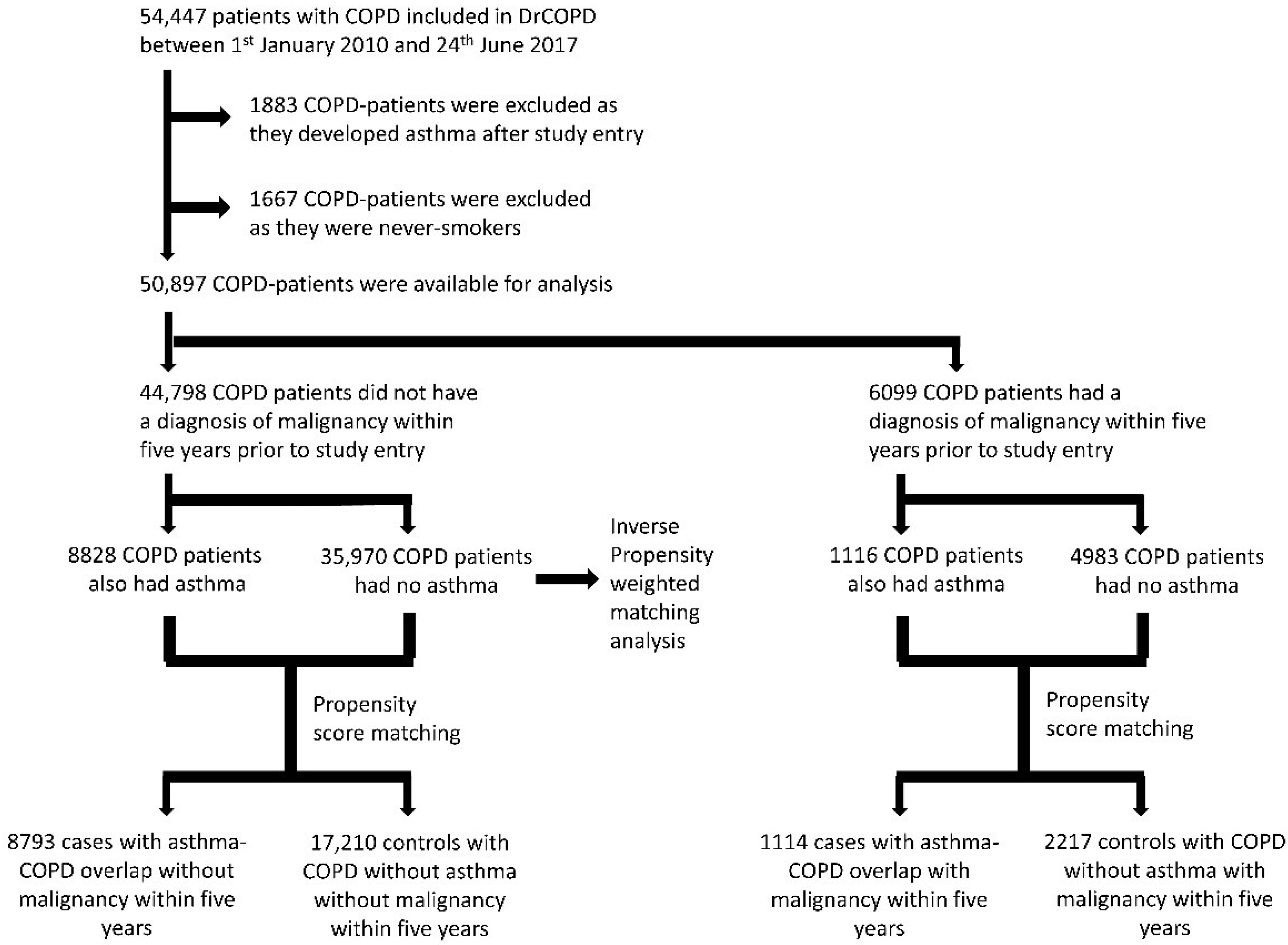 Biomedicines 10 01463 g001