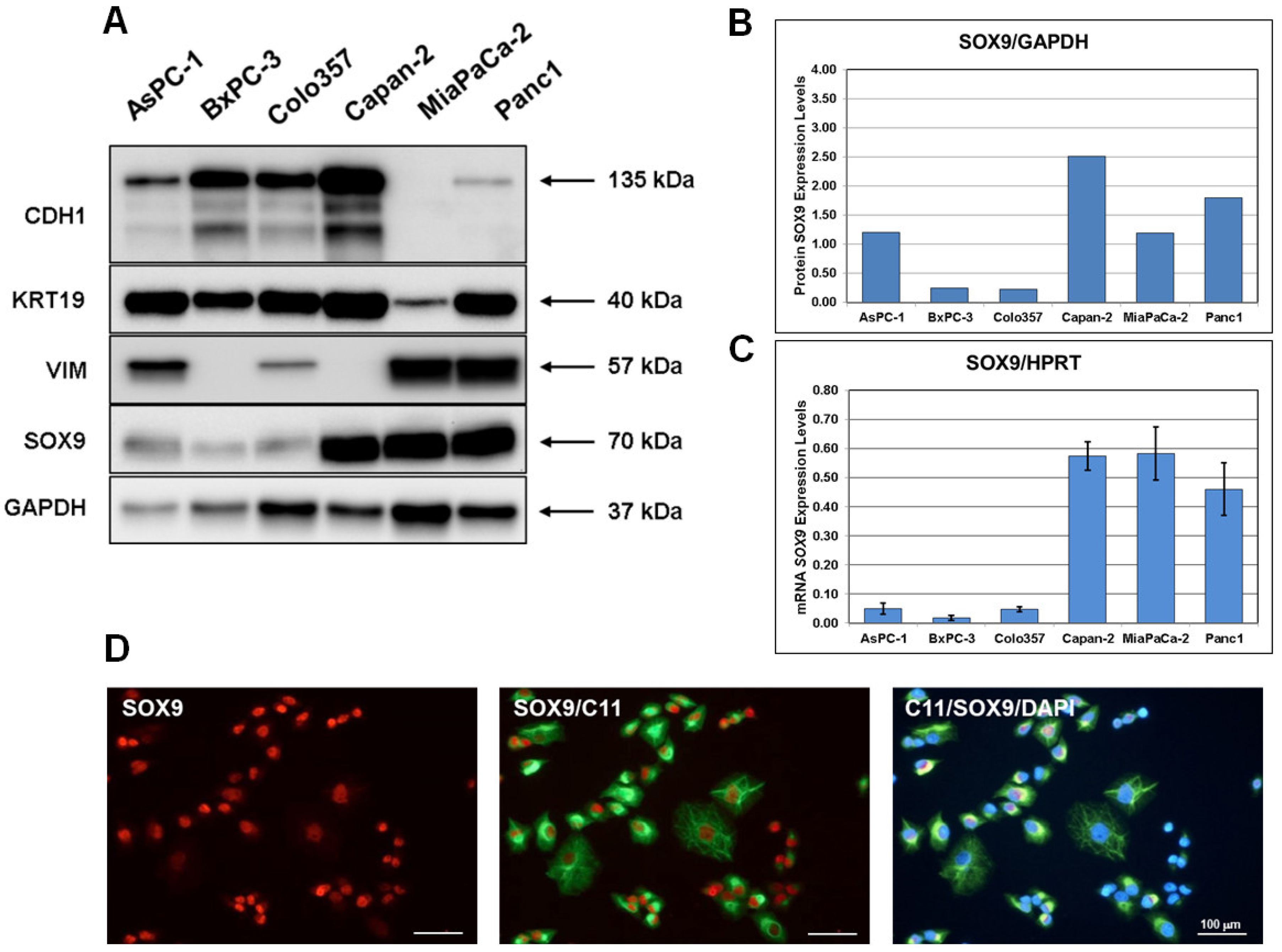 Biomedicines 10 01466 g001