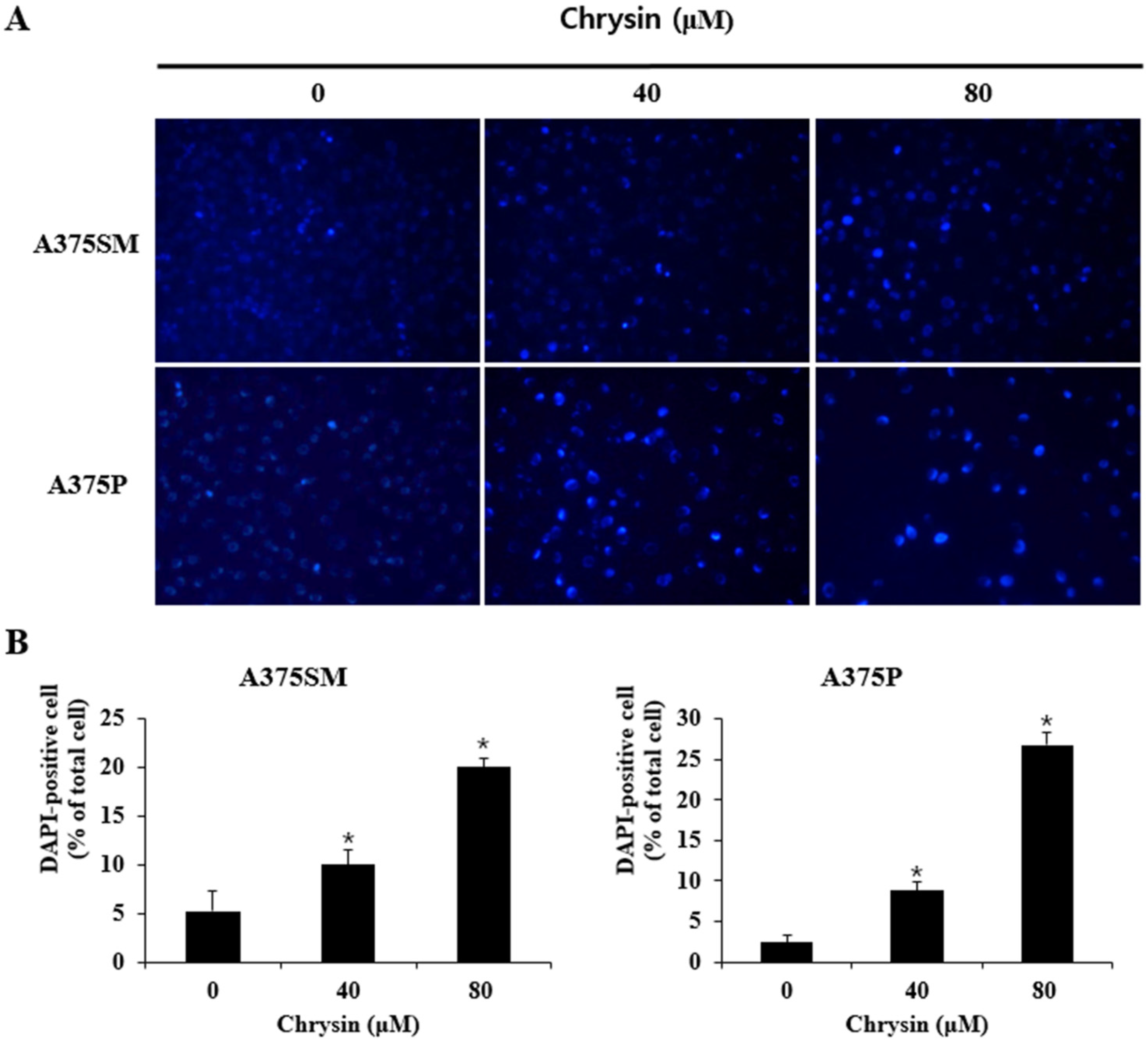 Biomedicines 10 01467 g002