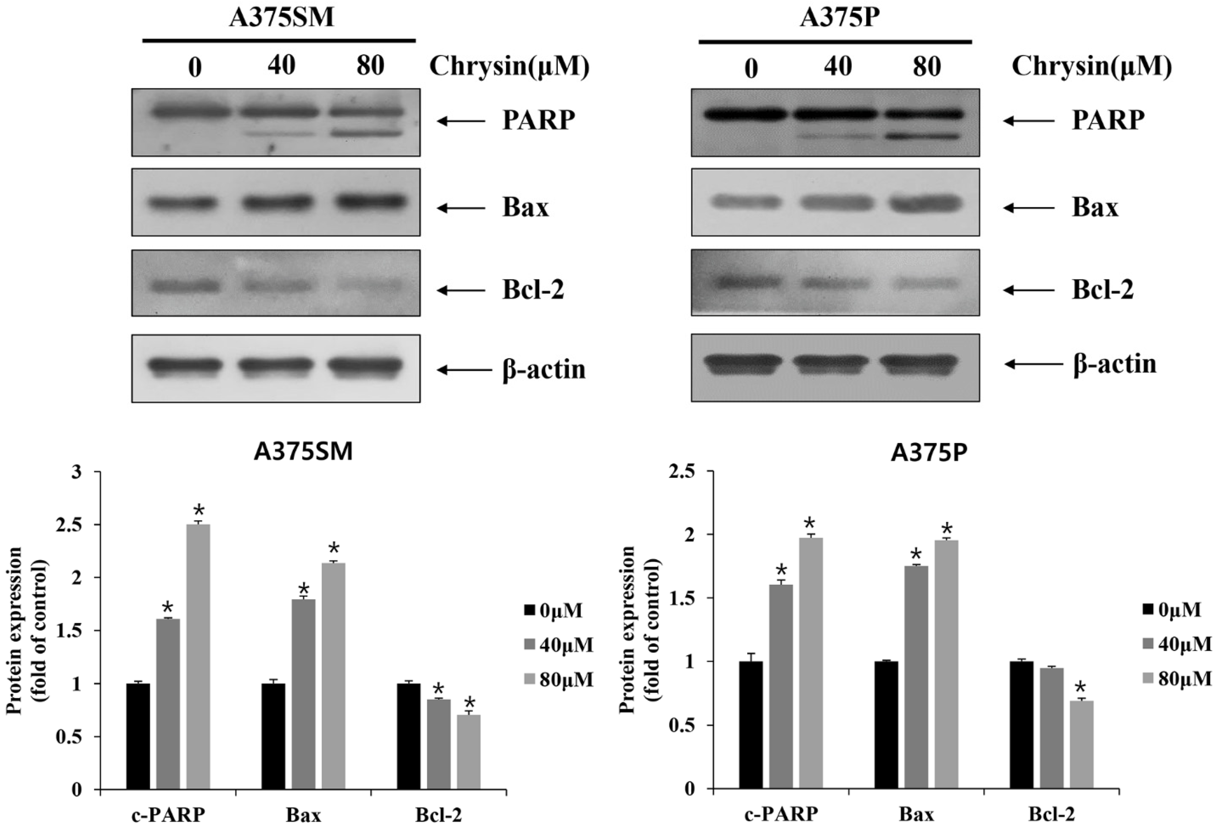 Biomedicines 10 01467 g004