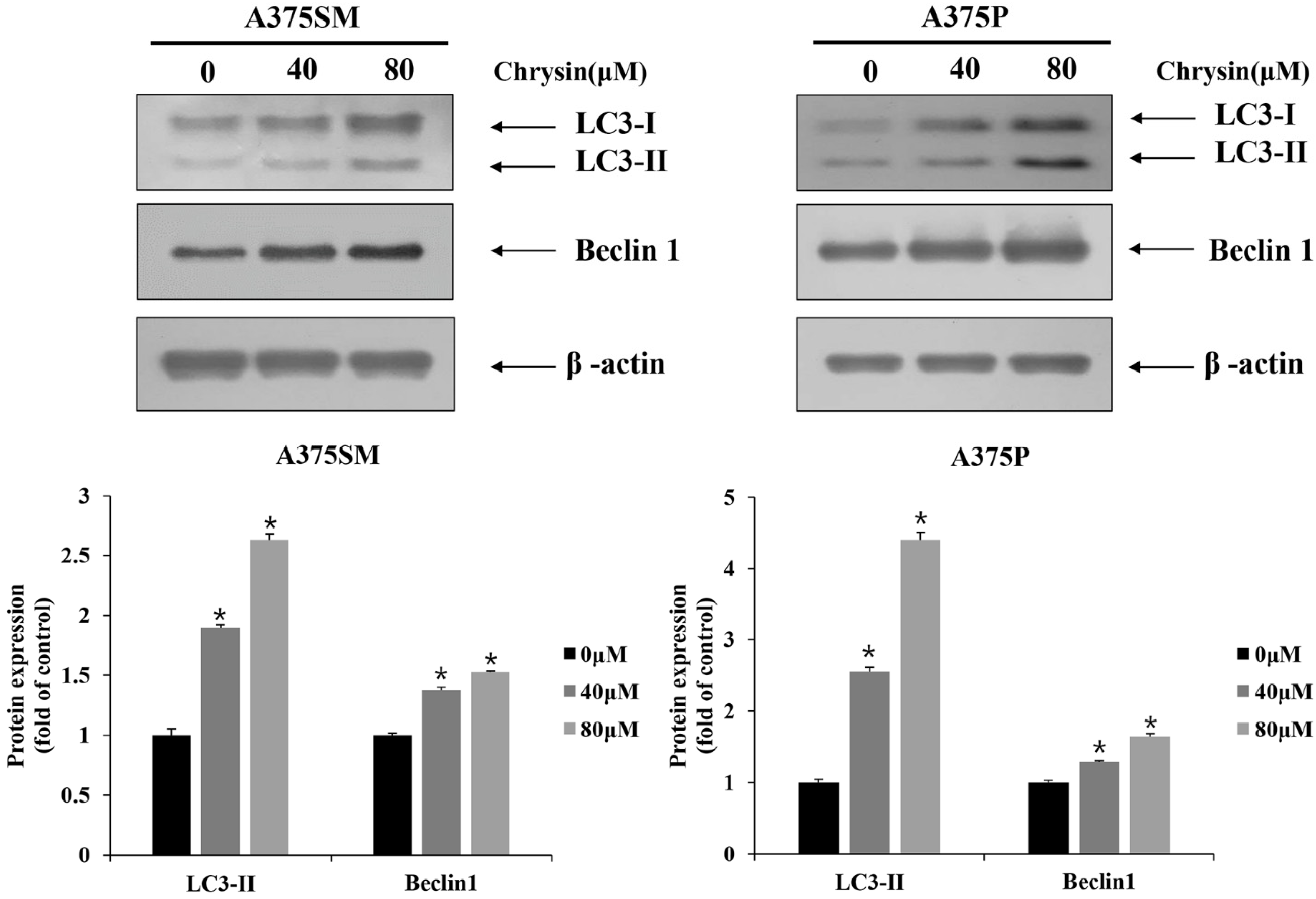 Biomedicines 10 01467 g006