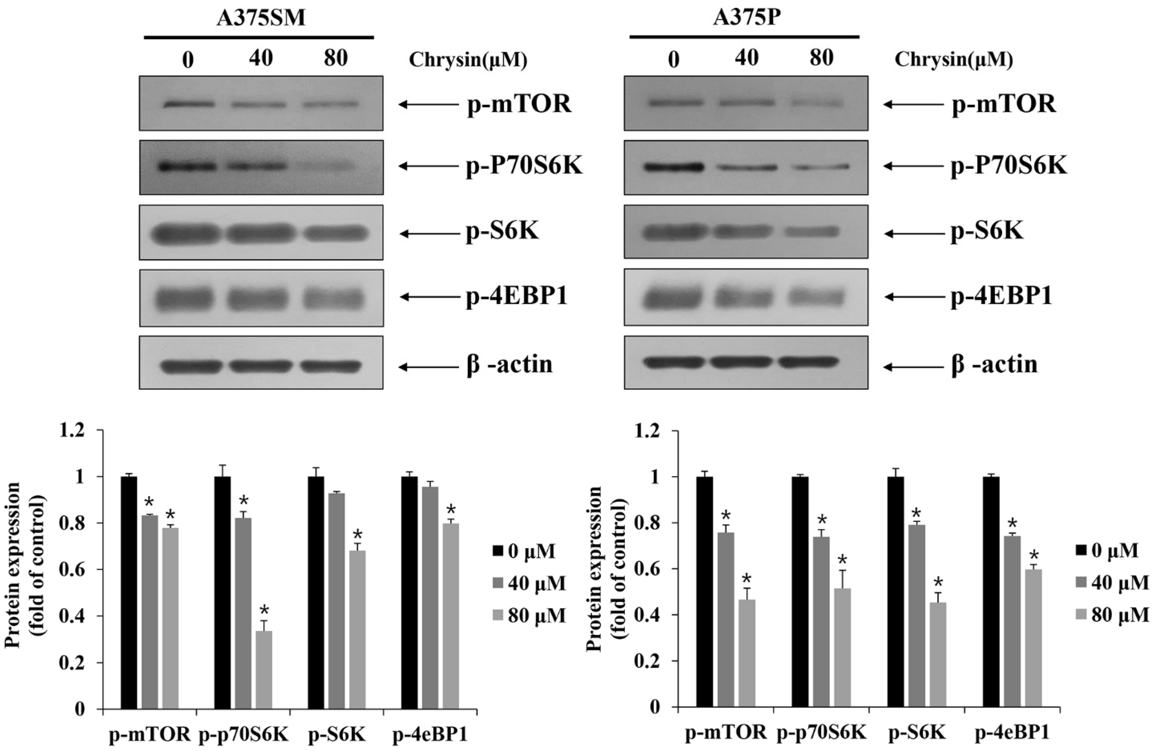 Biomedicines 10 01467 g008