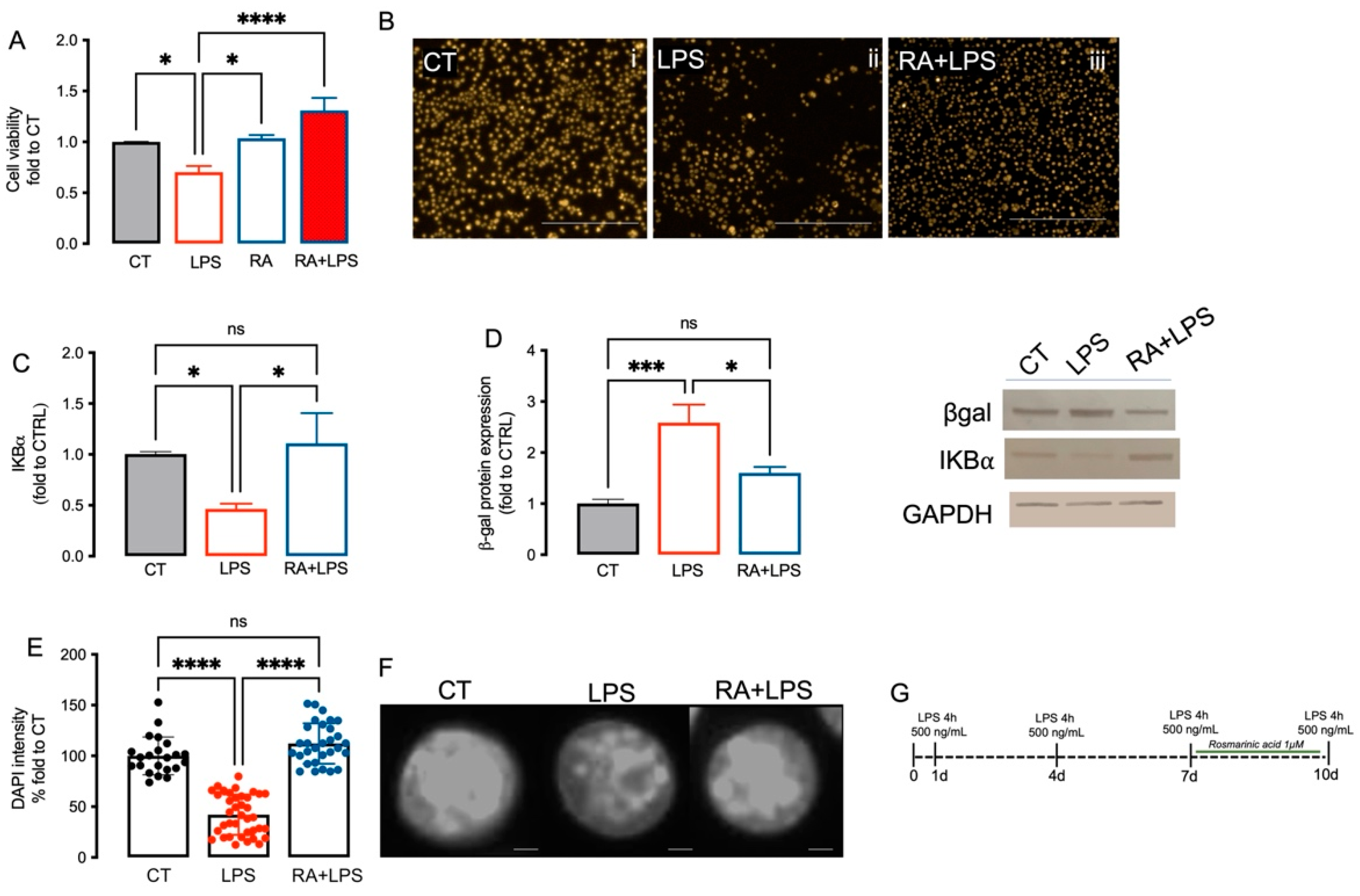 Biomedicines 10 01468 g002 550