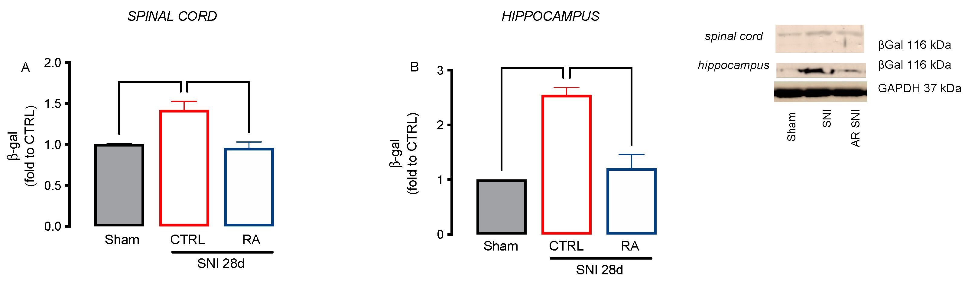 Biomedicines 10 01468 g005 550