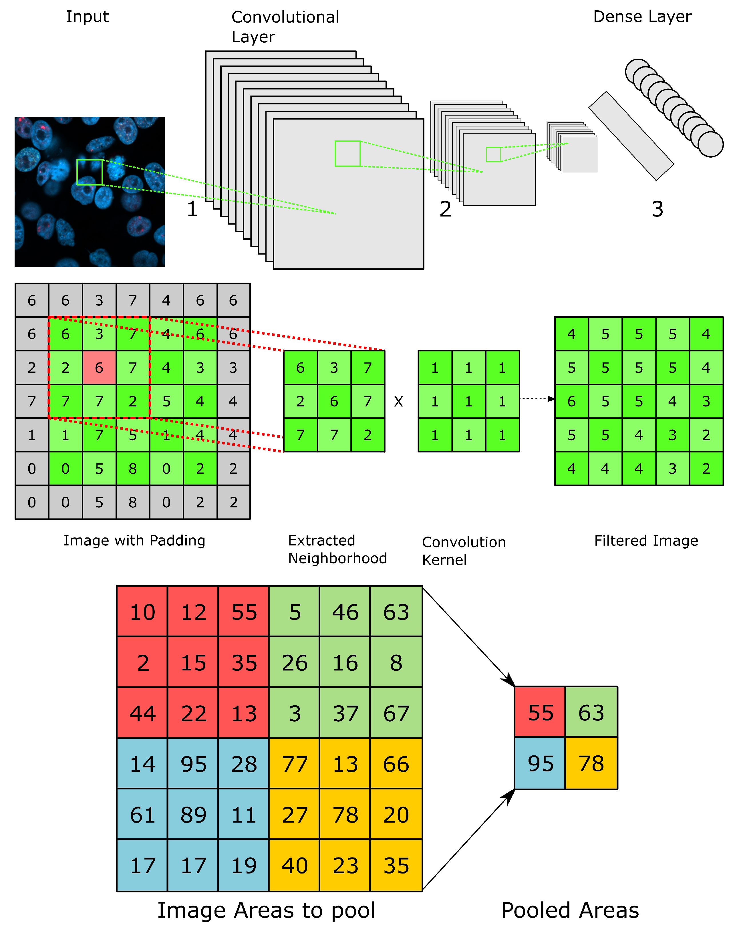 Biomedicines 10 01469 g005 Biomedicines 10 01469 g005