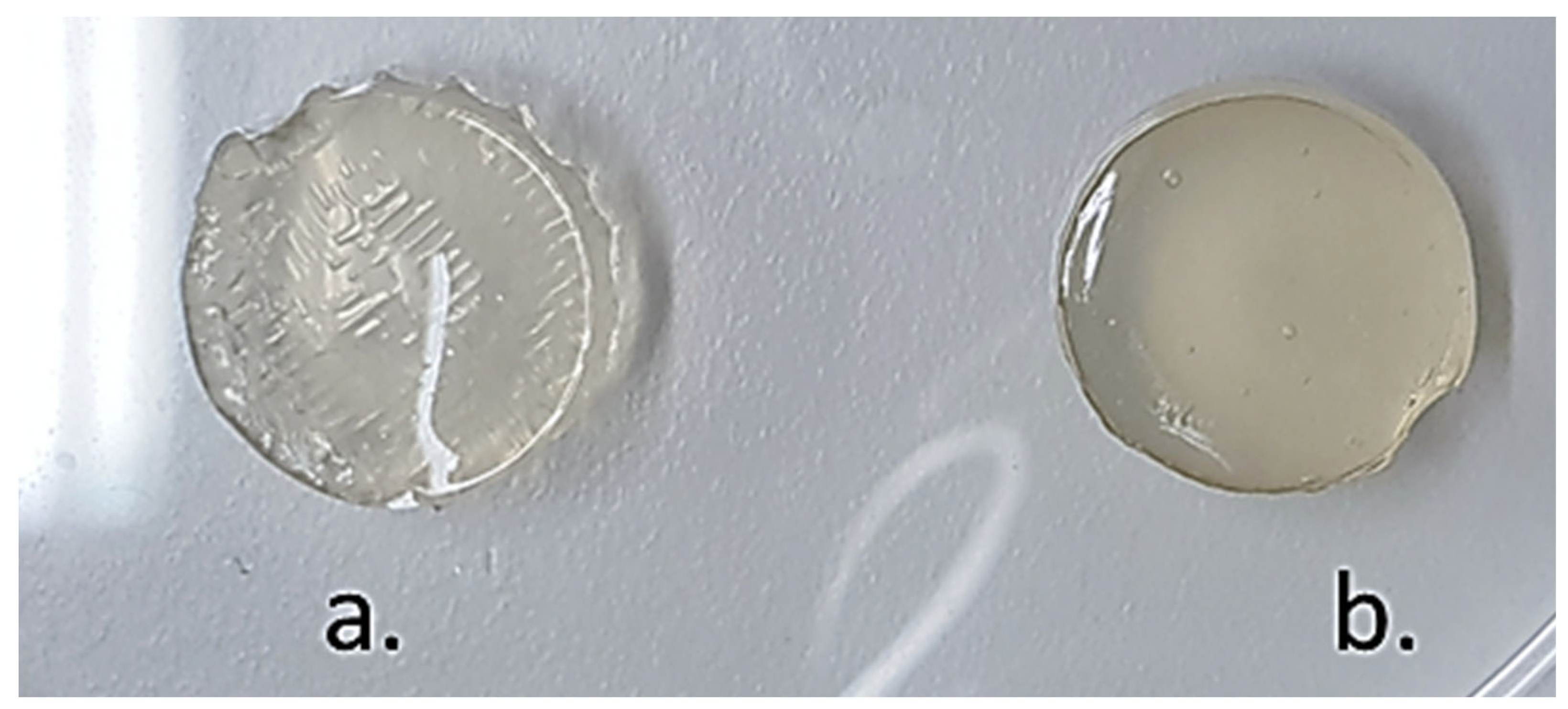 Biomedicines 10 01470 g009