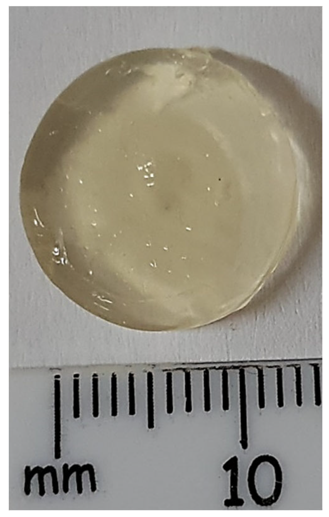 Biomedicines 10 01470 g010