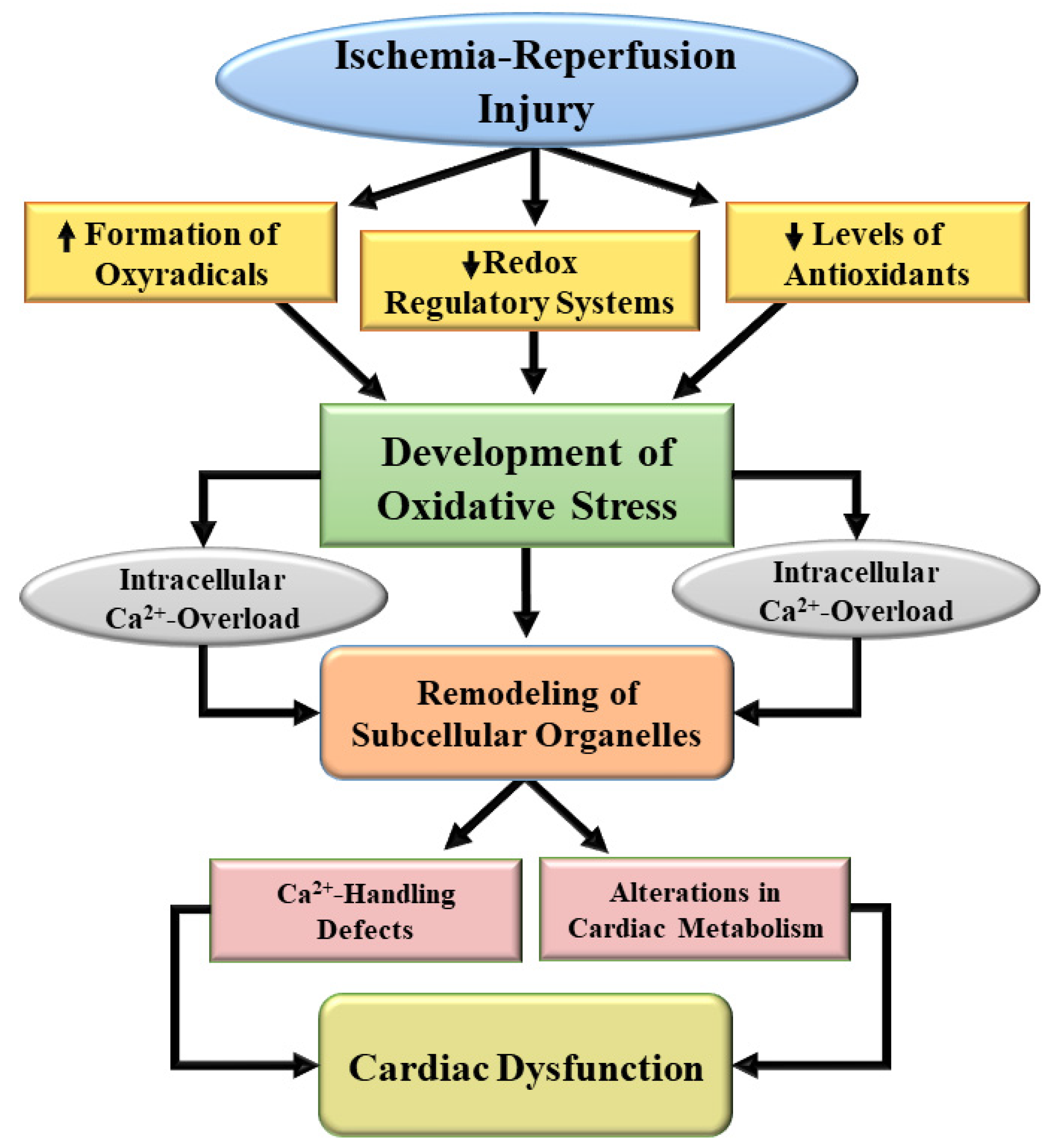 Biomedicines 10 01473 g002 Biomedicines 10 01473 g002