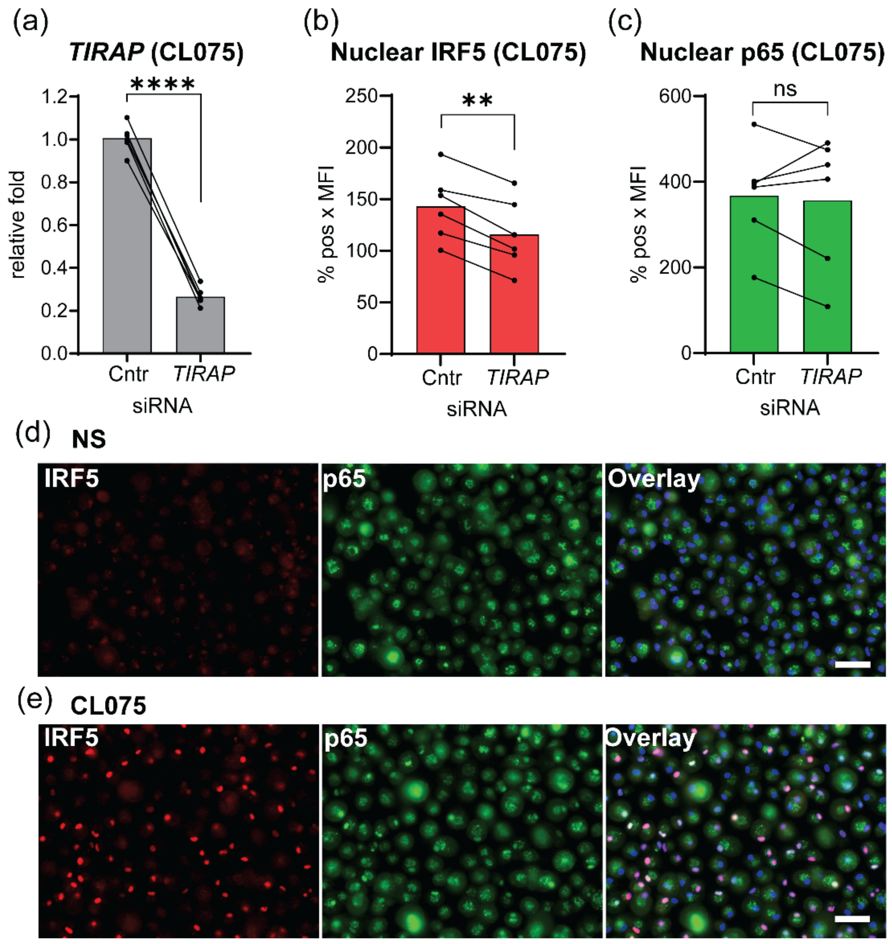 Biomedicines 10 01476 g004 Biomedicines 10 01476 g004