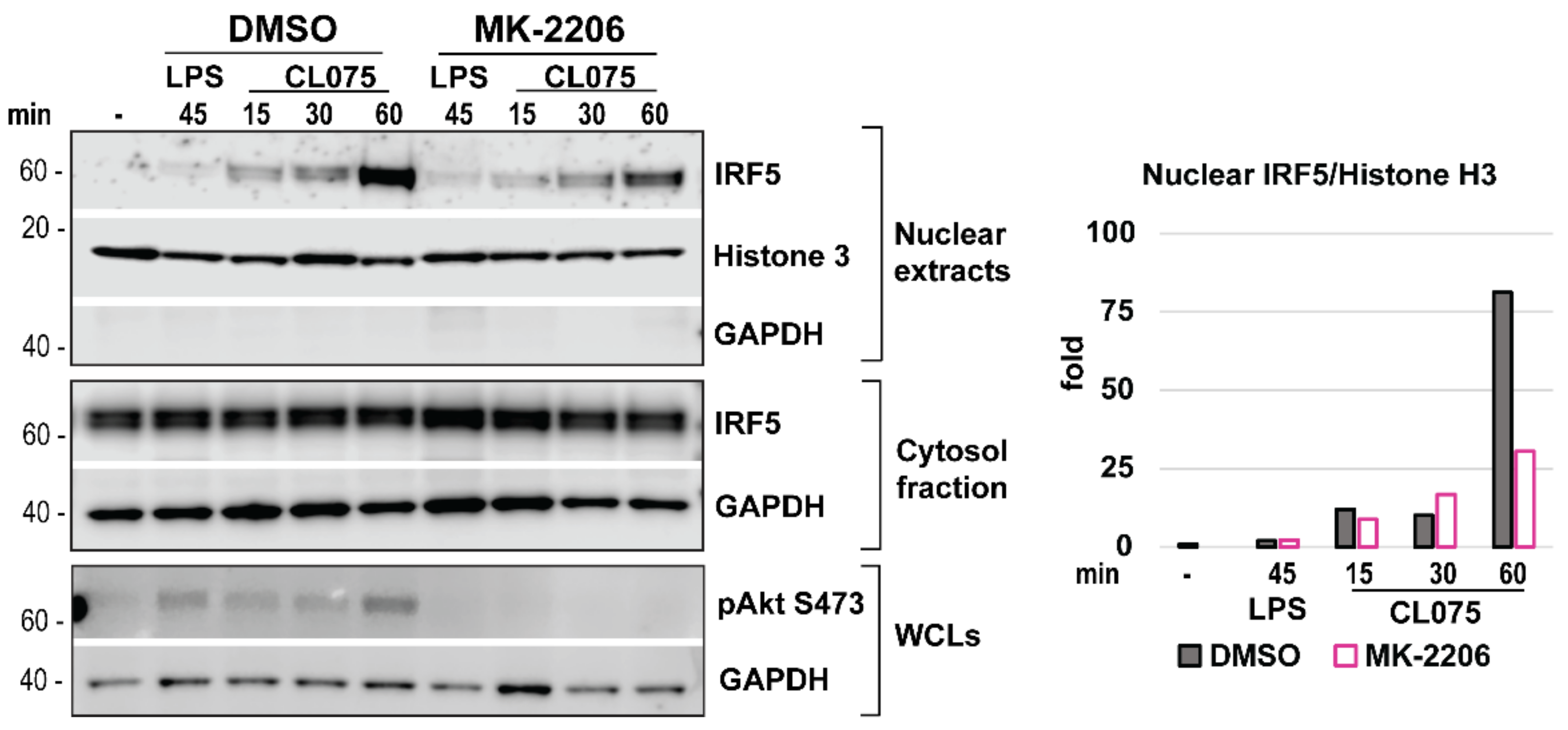 Biomedicines 10 01476 g008 Biomedicines 10 01476 g008