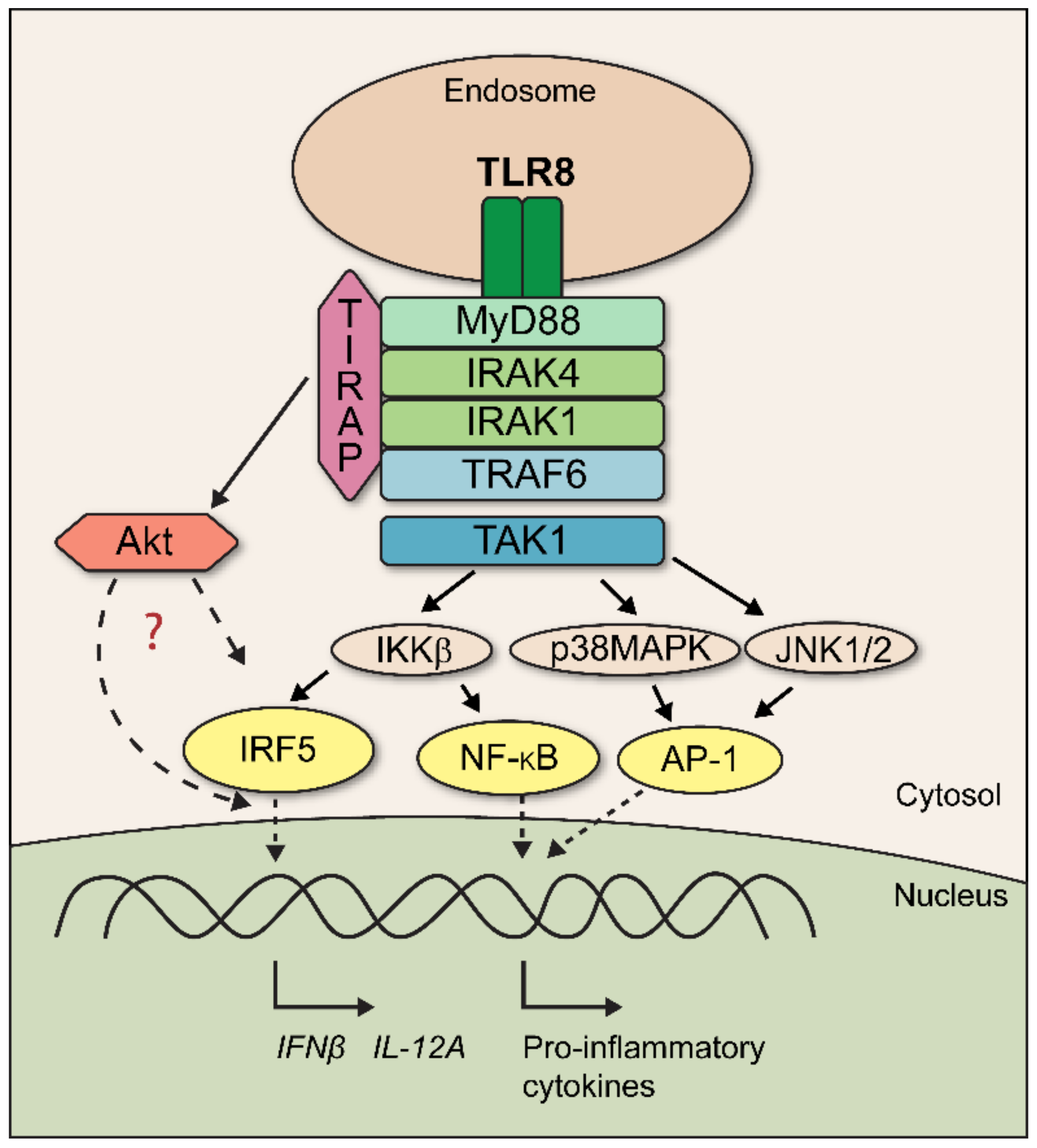 Biomedicines 10 01476 g009 Biomedicines 10 01476 g009