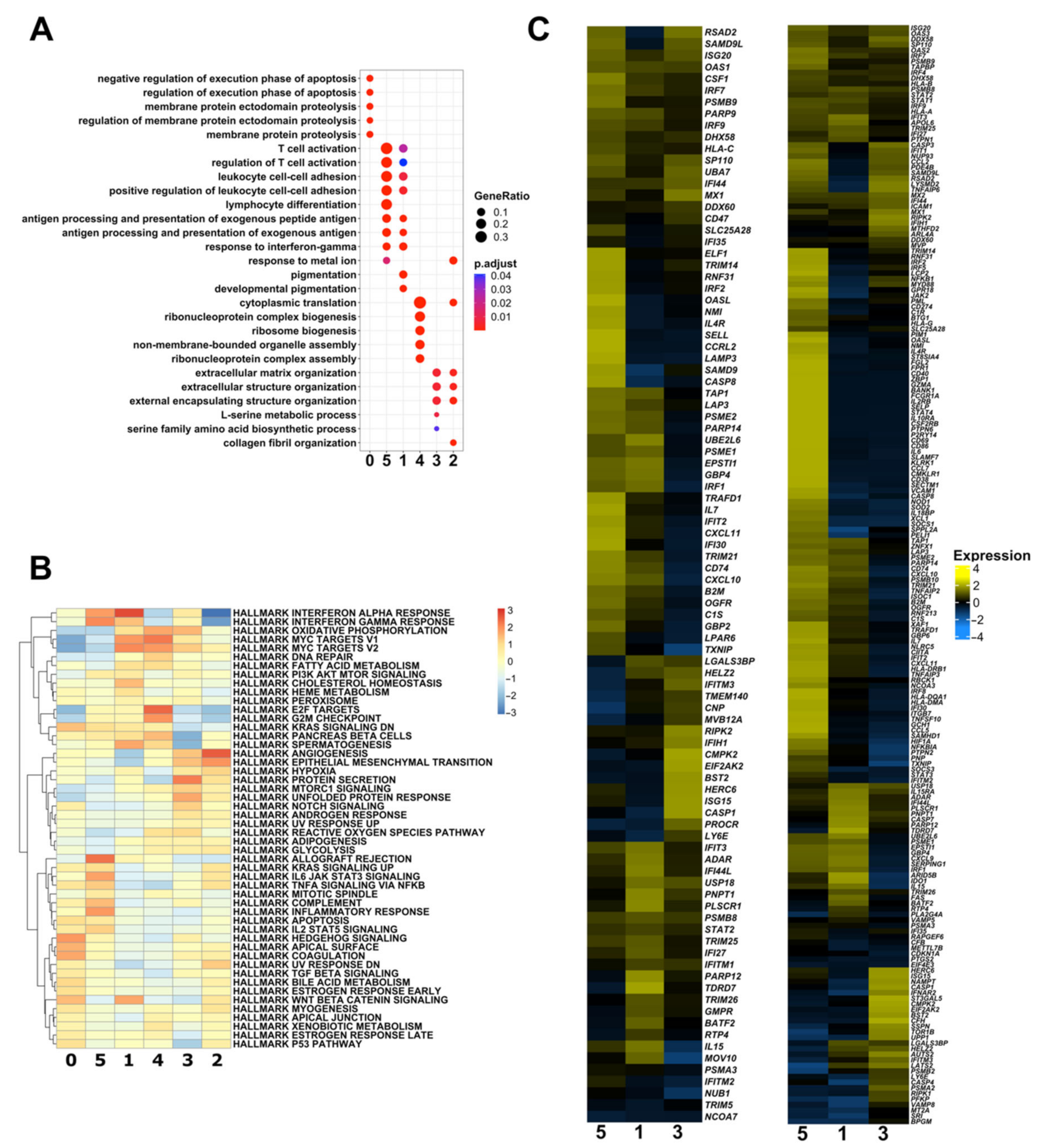 Biomedicines 10 01478 g002 Biomedicines 10 01478 g002