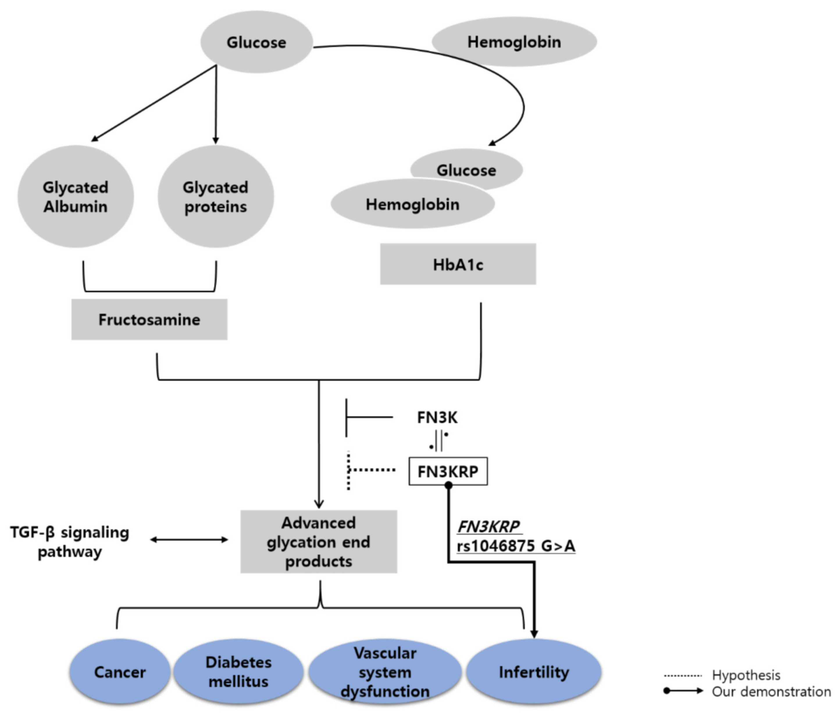 Biomedicines 10 01481 g001