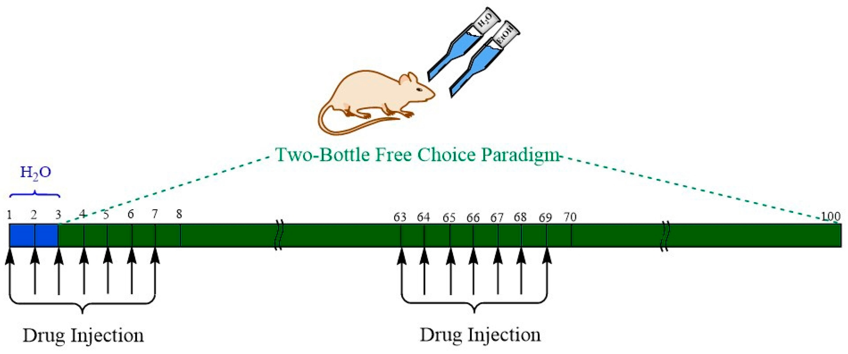Biomedicines 10 01482 g001 550