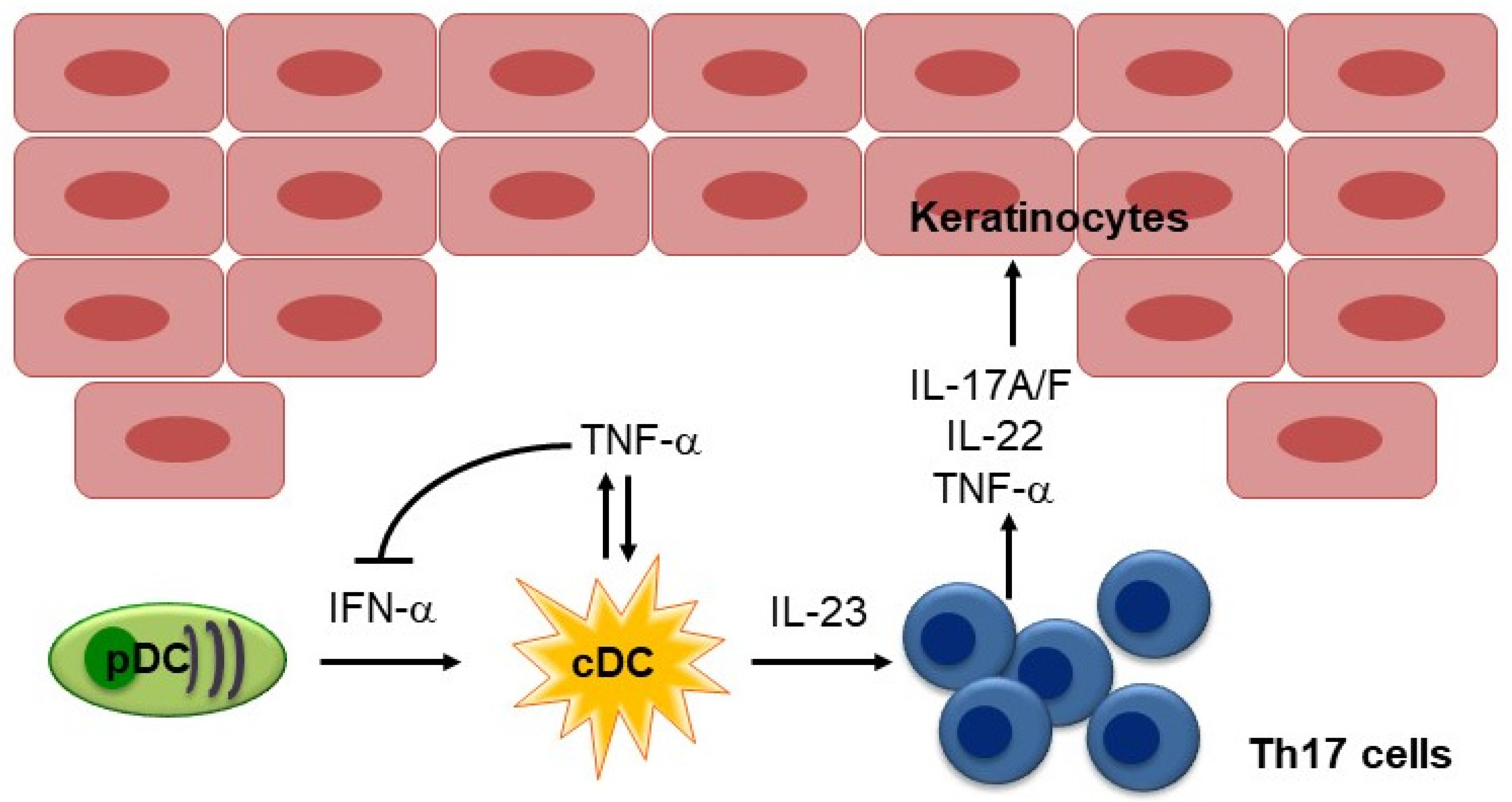Biomedicines 10 01485 g002 Biomedicines 10 01485 g002