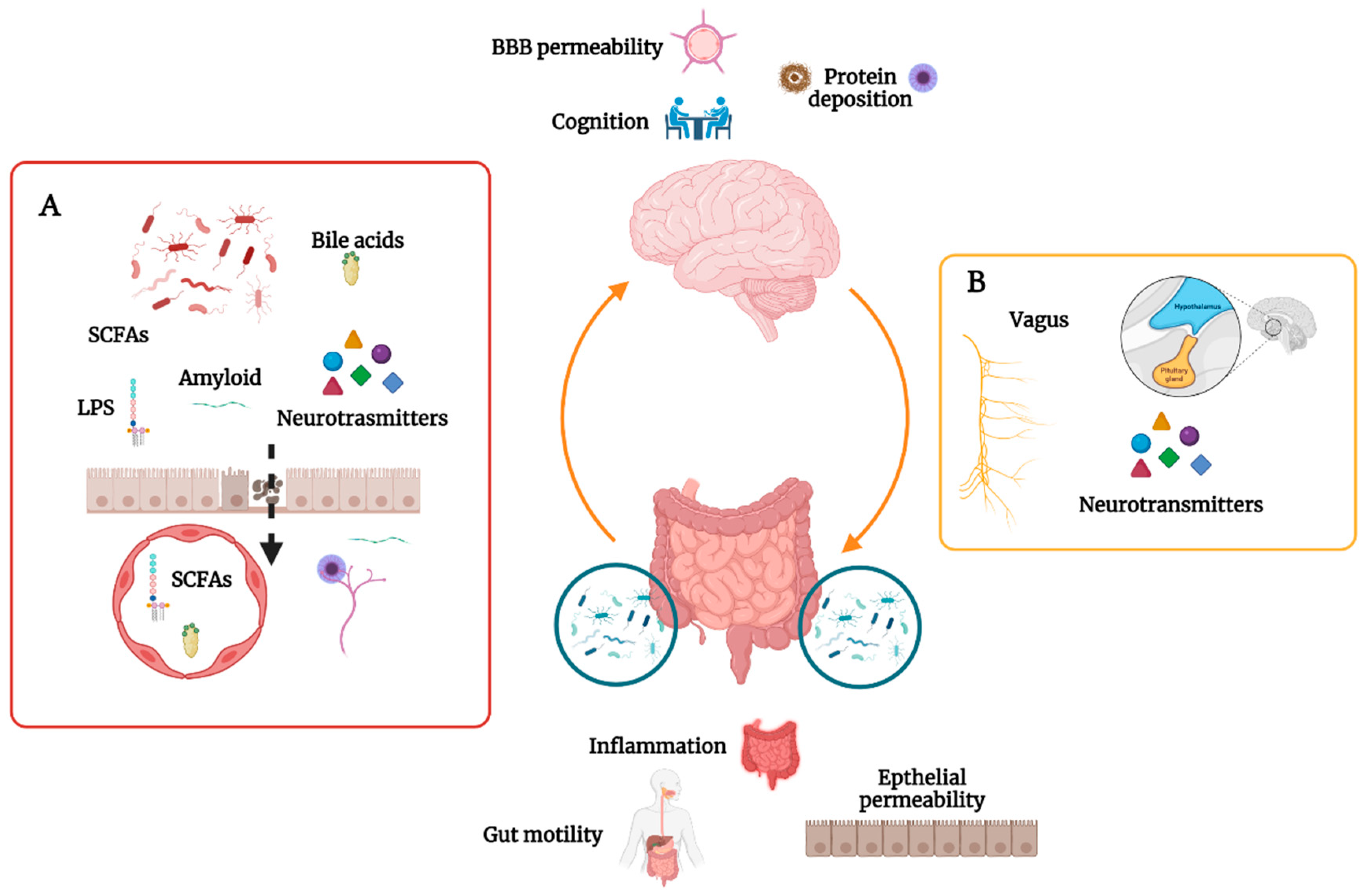 Biomedicines 10 01486 g001 550