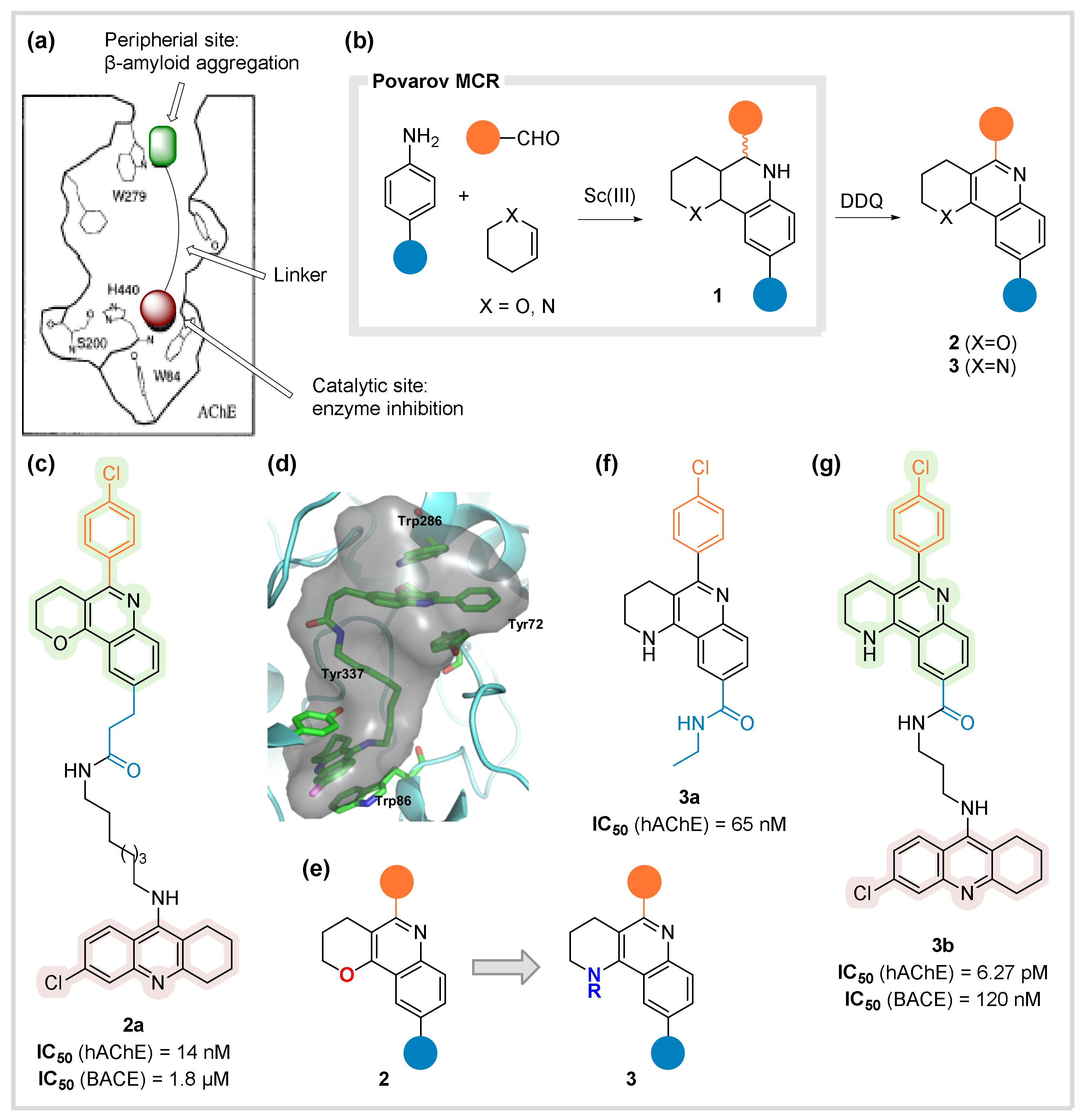 Biomedicines 10 01488 g002
