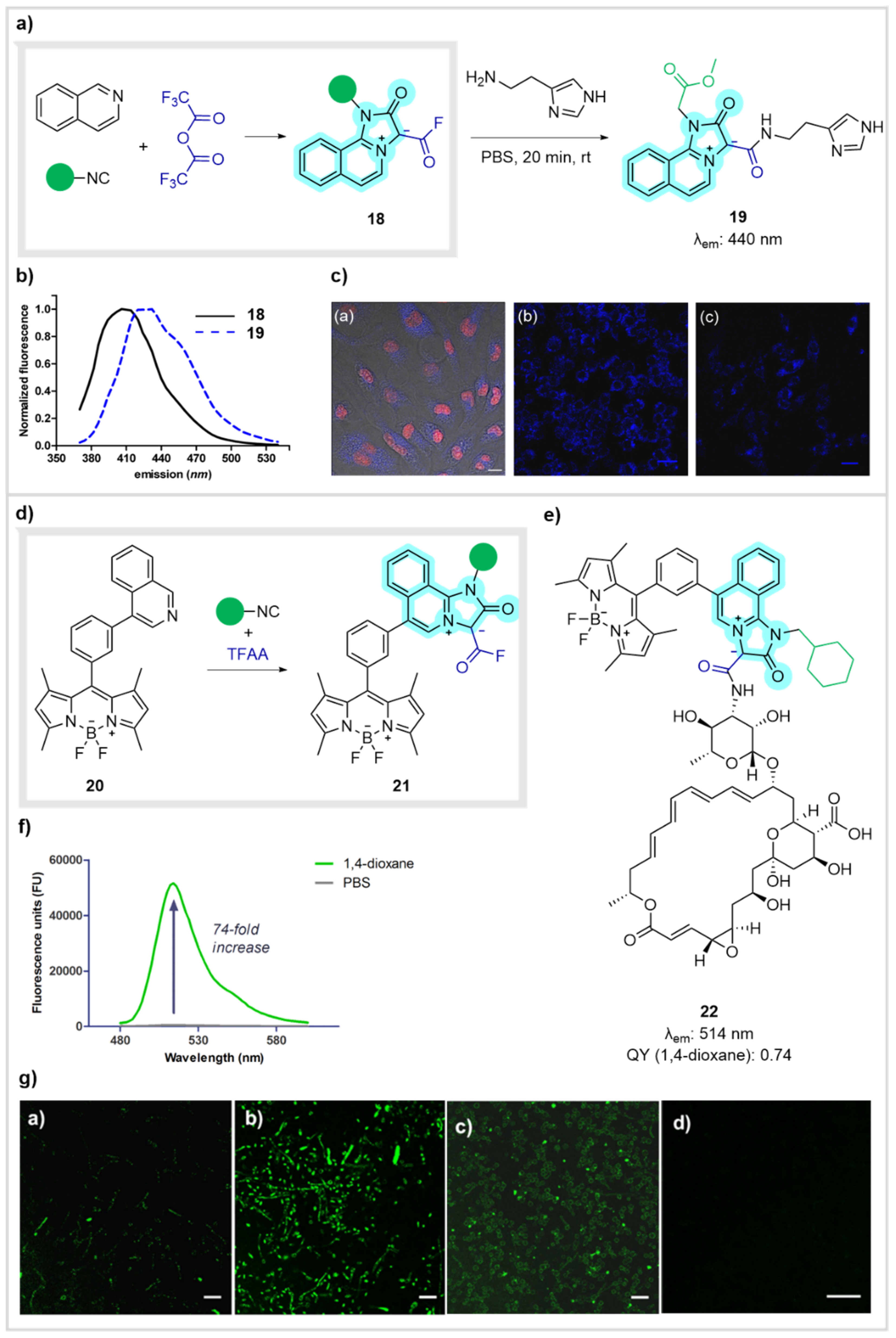 Biomedicines 10 01488 g008