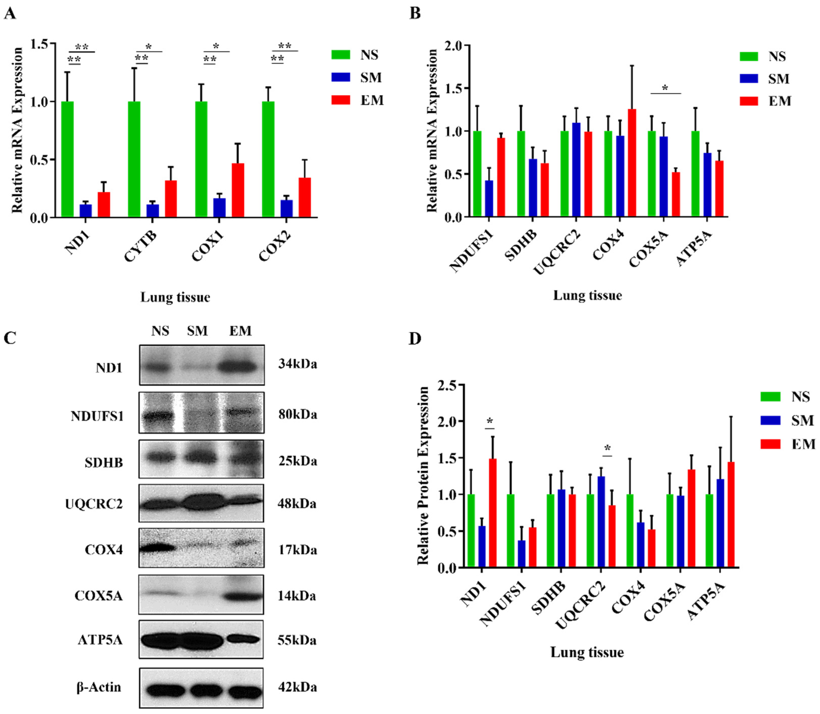 Biomedicines 10 01497 g001
