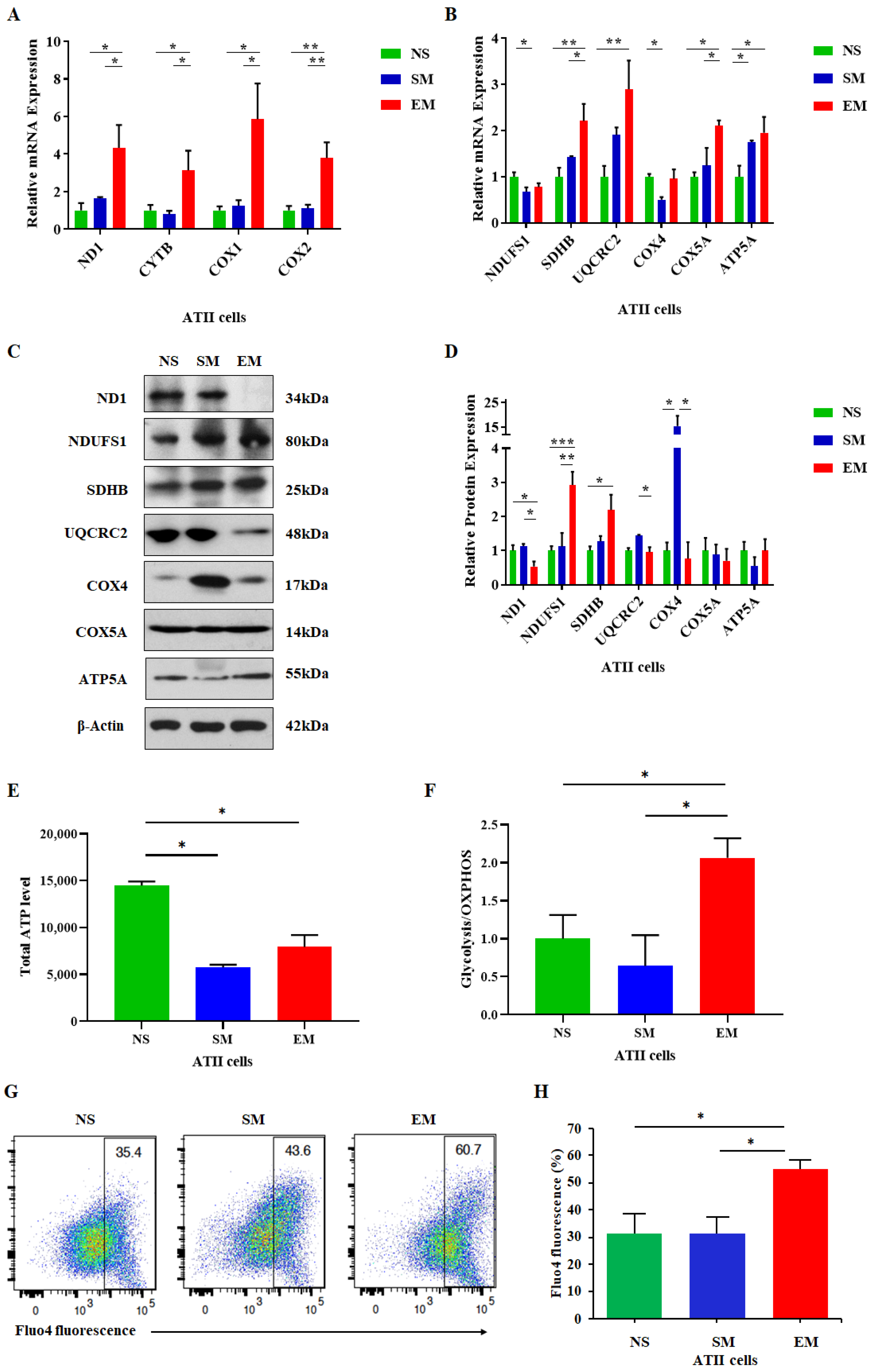 Biomedicines 10 01497 g003
