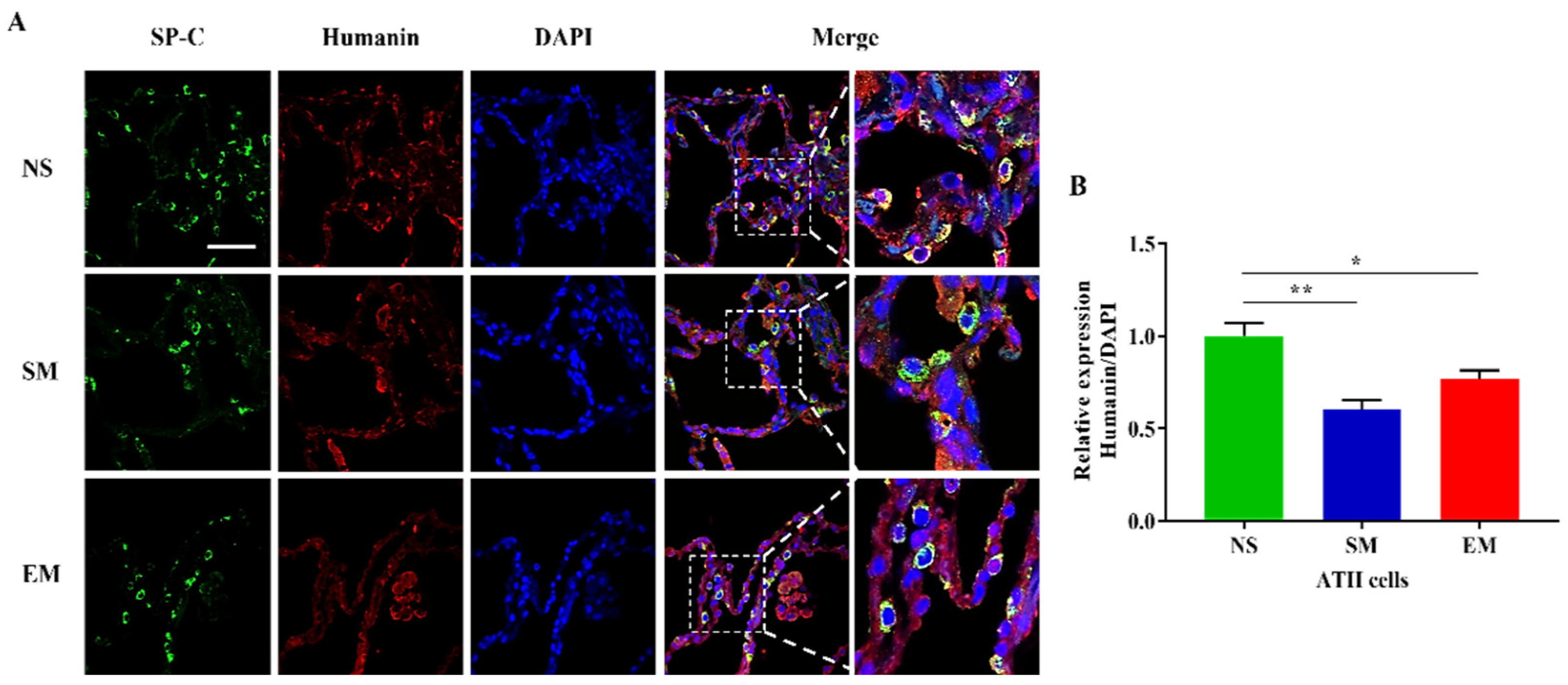 Biomedicines 10 01497 g005