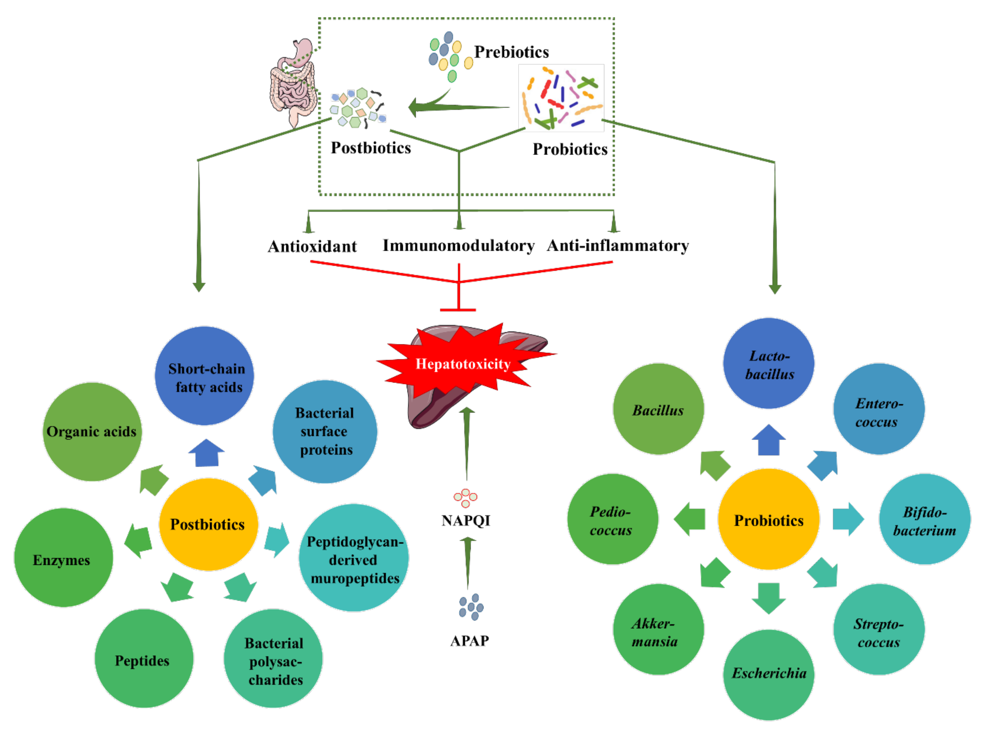 Biomedicines 10 01498 g004 Biomedicines 10 01498 g004