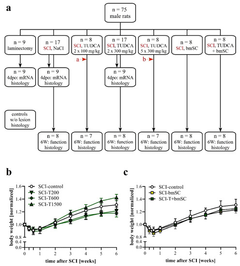 Biomedicines, Free Full-Text