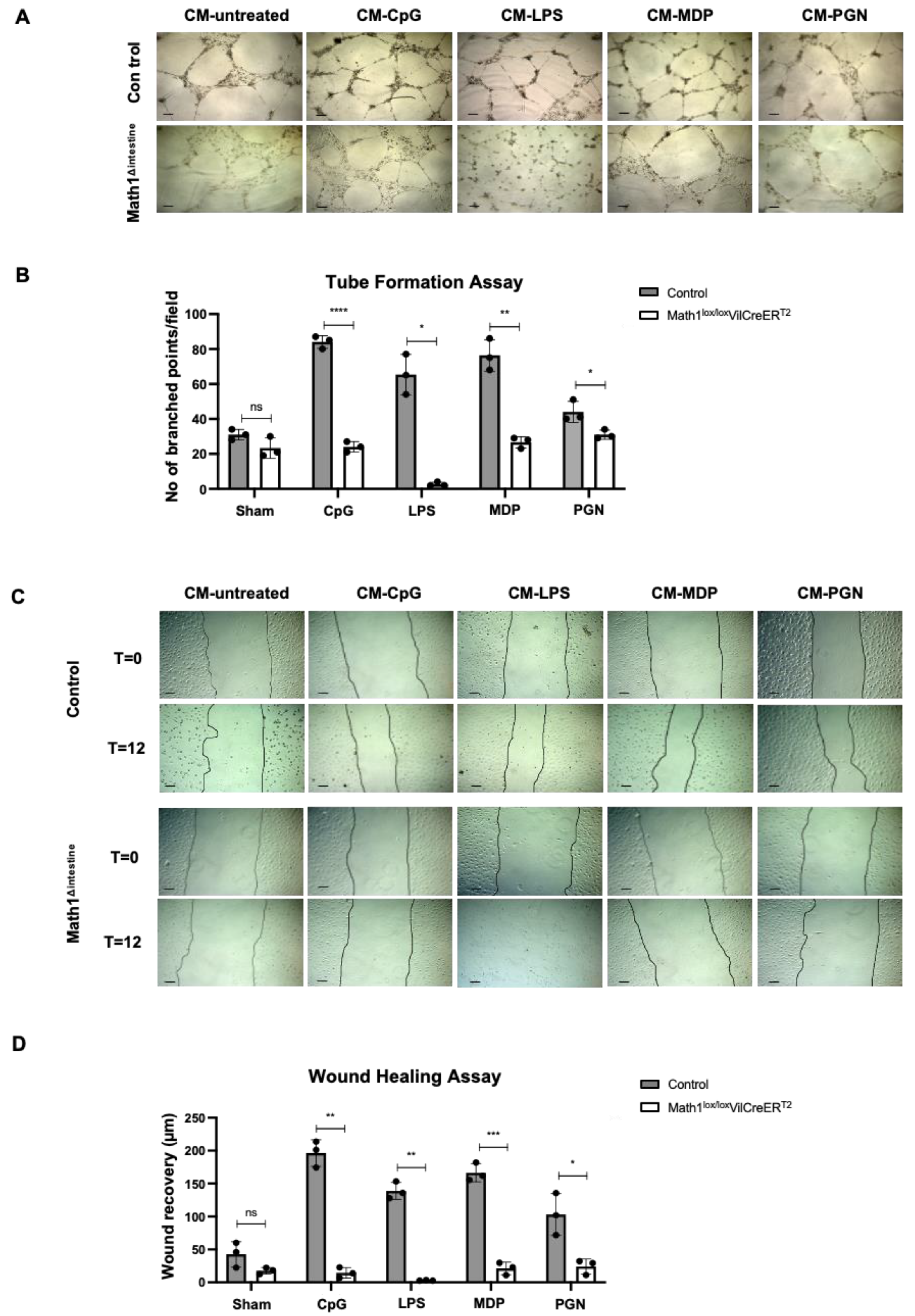 Biomedicines 10 01503 g006