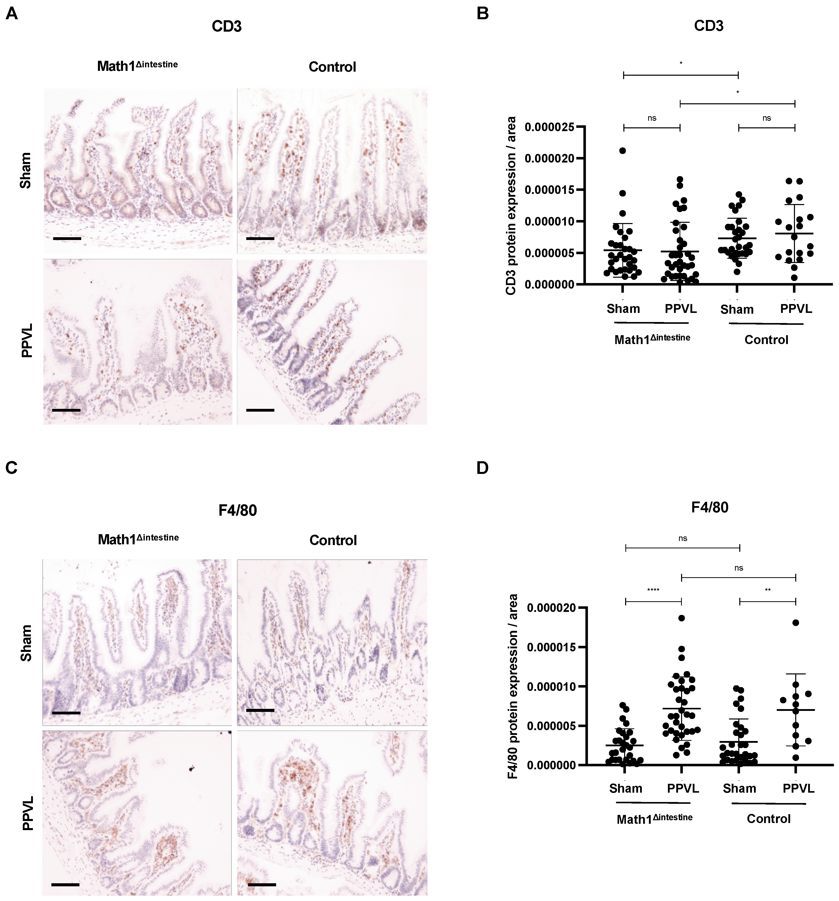 Biomedicines 10 01503 g008