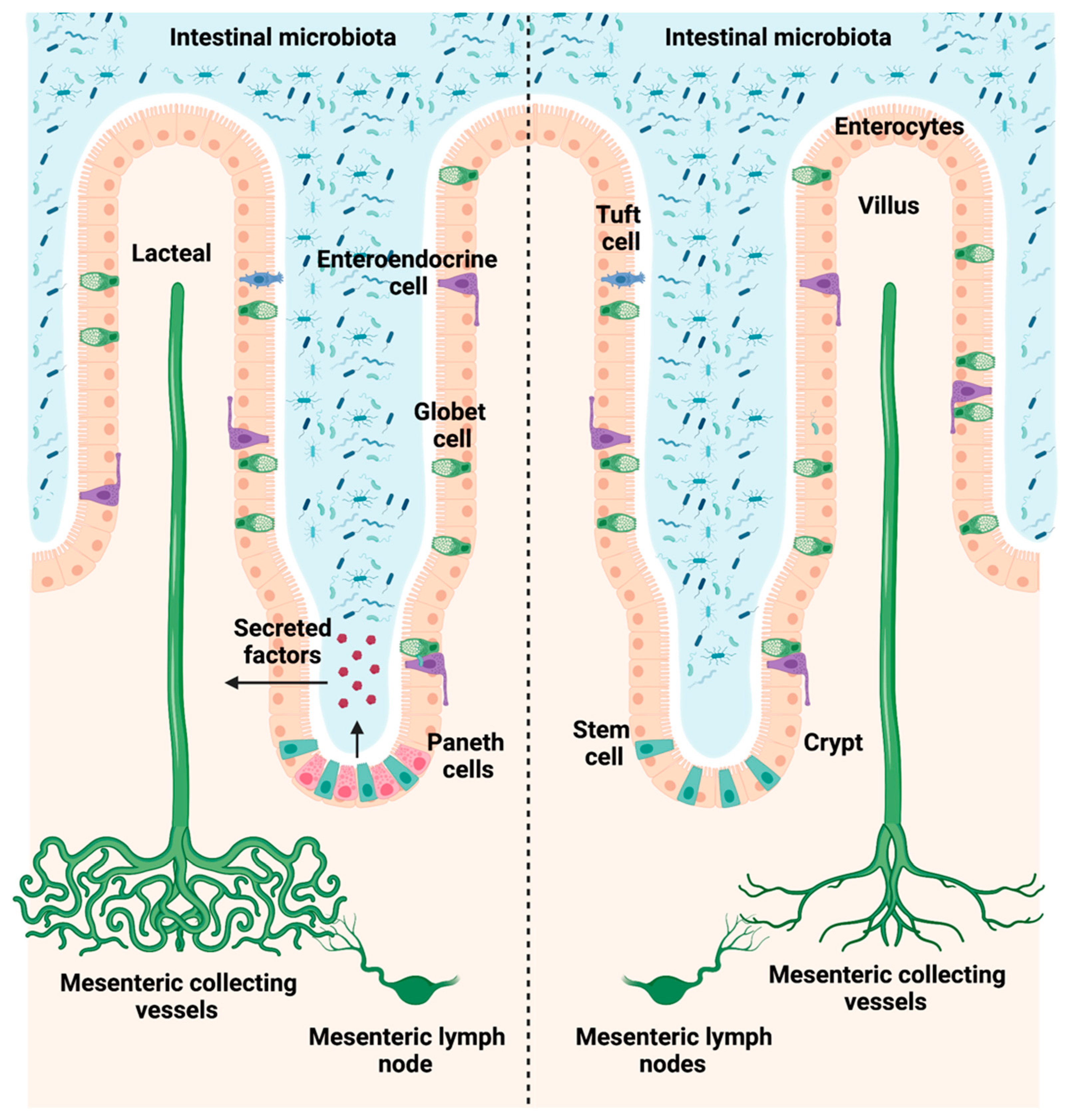 Biomedicines 10 01503 g009
