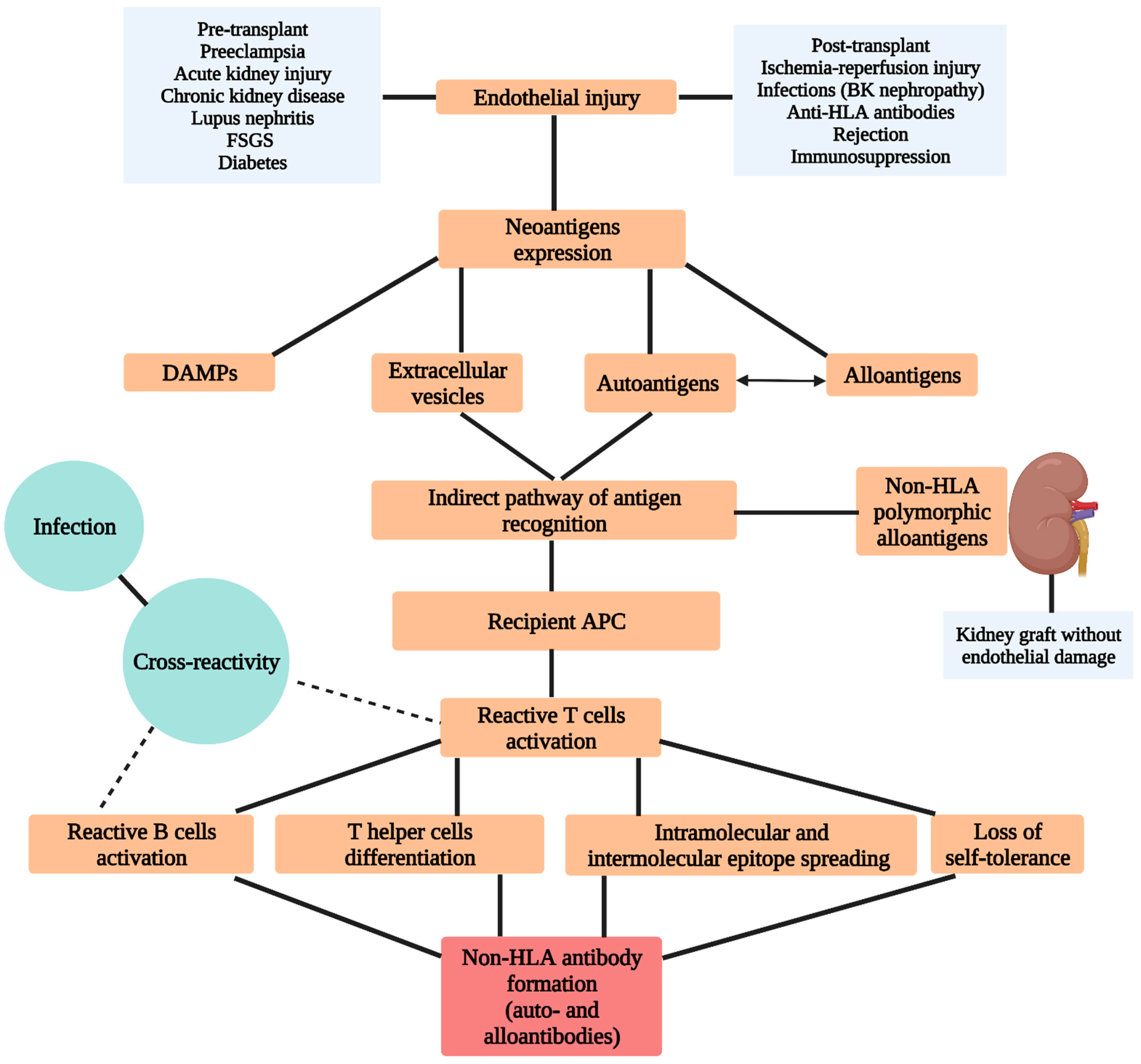Biomedicines 10 01506 g001 Biomedicines 10 01506 g001