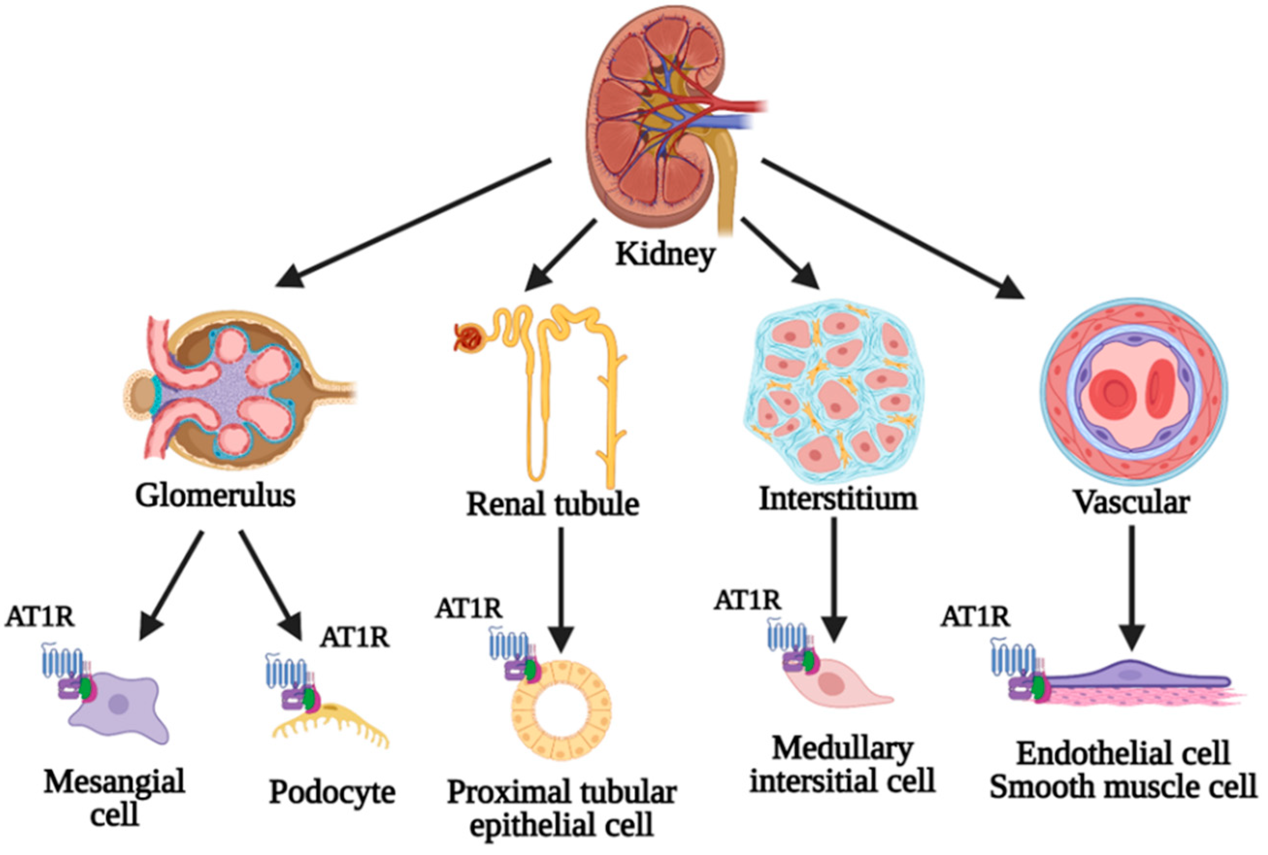 Biomedicines 10 01506 g002 Biomedicines 10 01506 g002