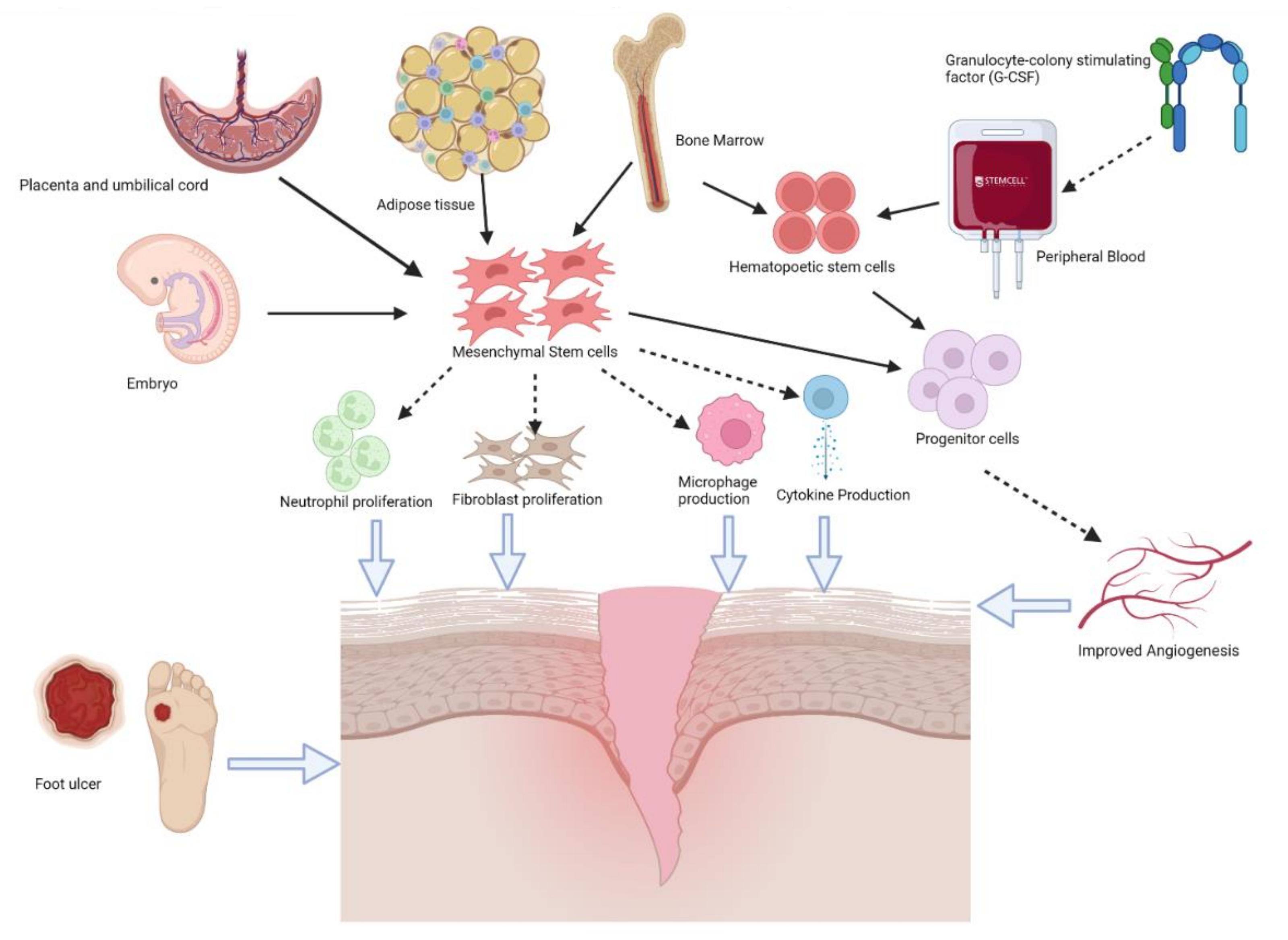 Biomedicines 10 01507 g002 Biomedicines 10 01507 g002